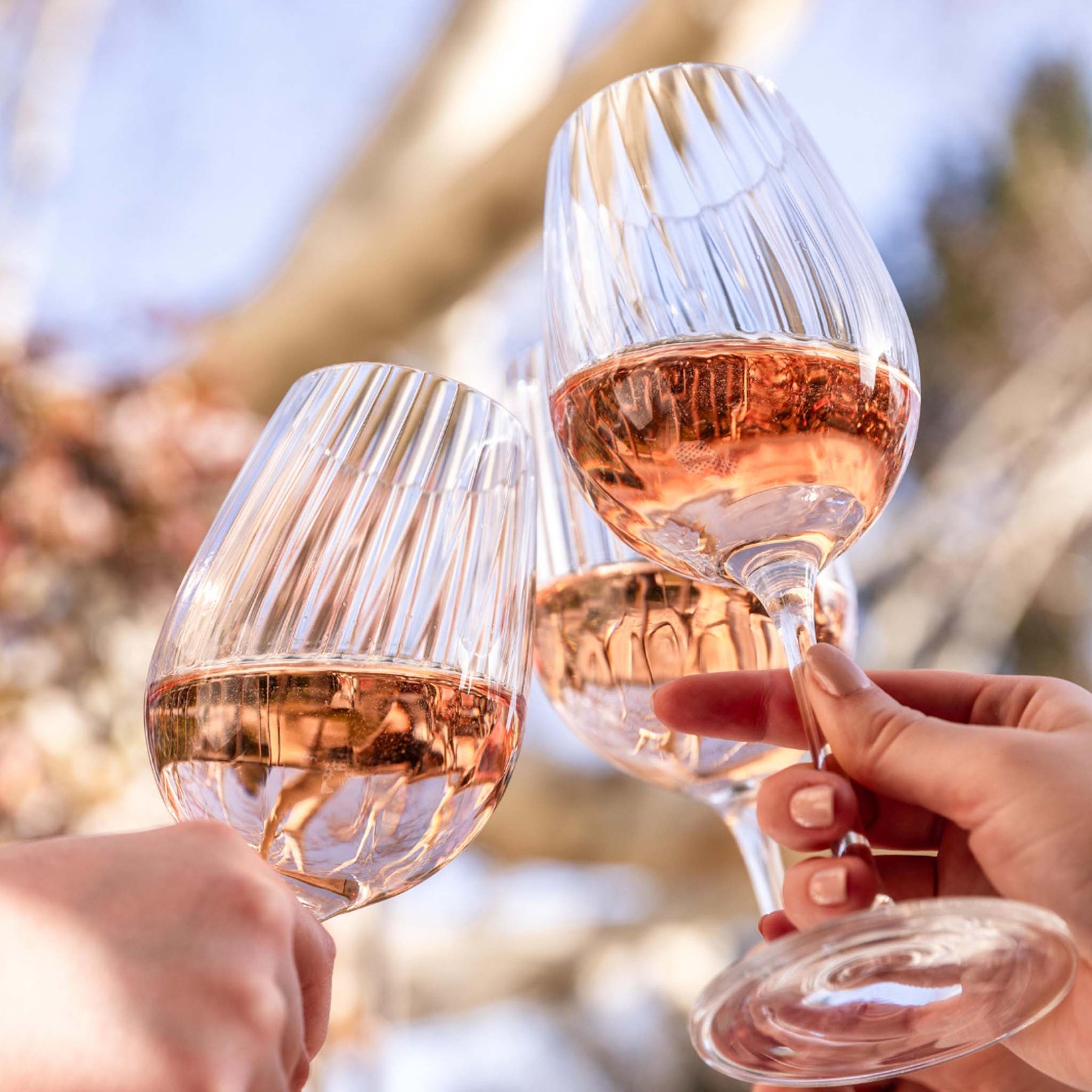 Roseblood d'Estoublon Rose 2024 1.5L