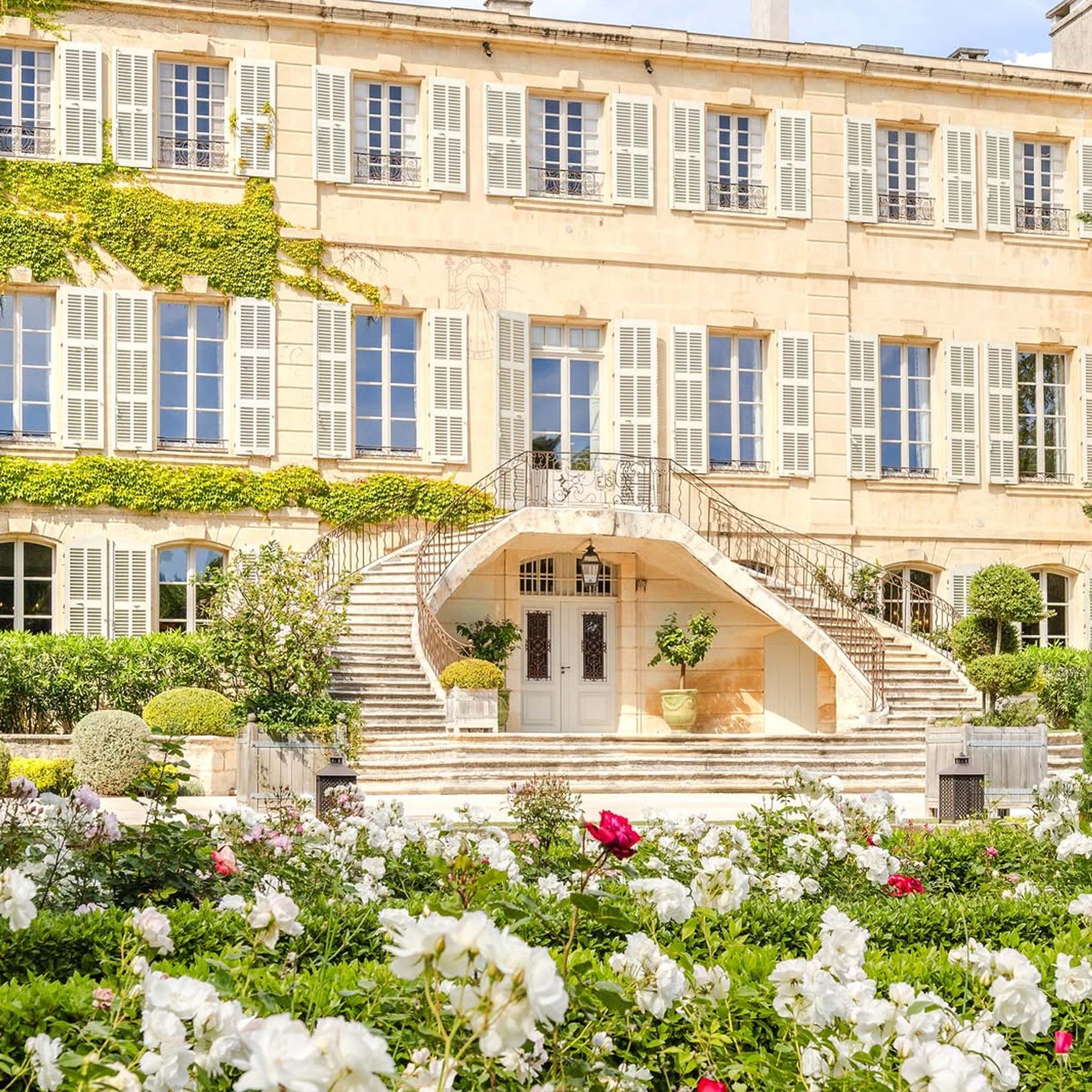 Roseblood d'Estoublon Rose 2024