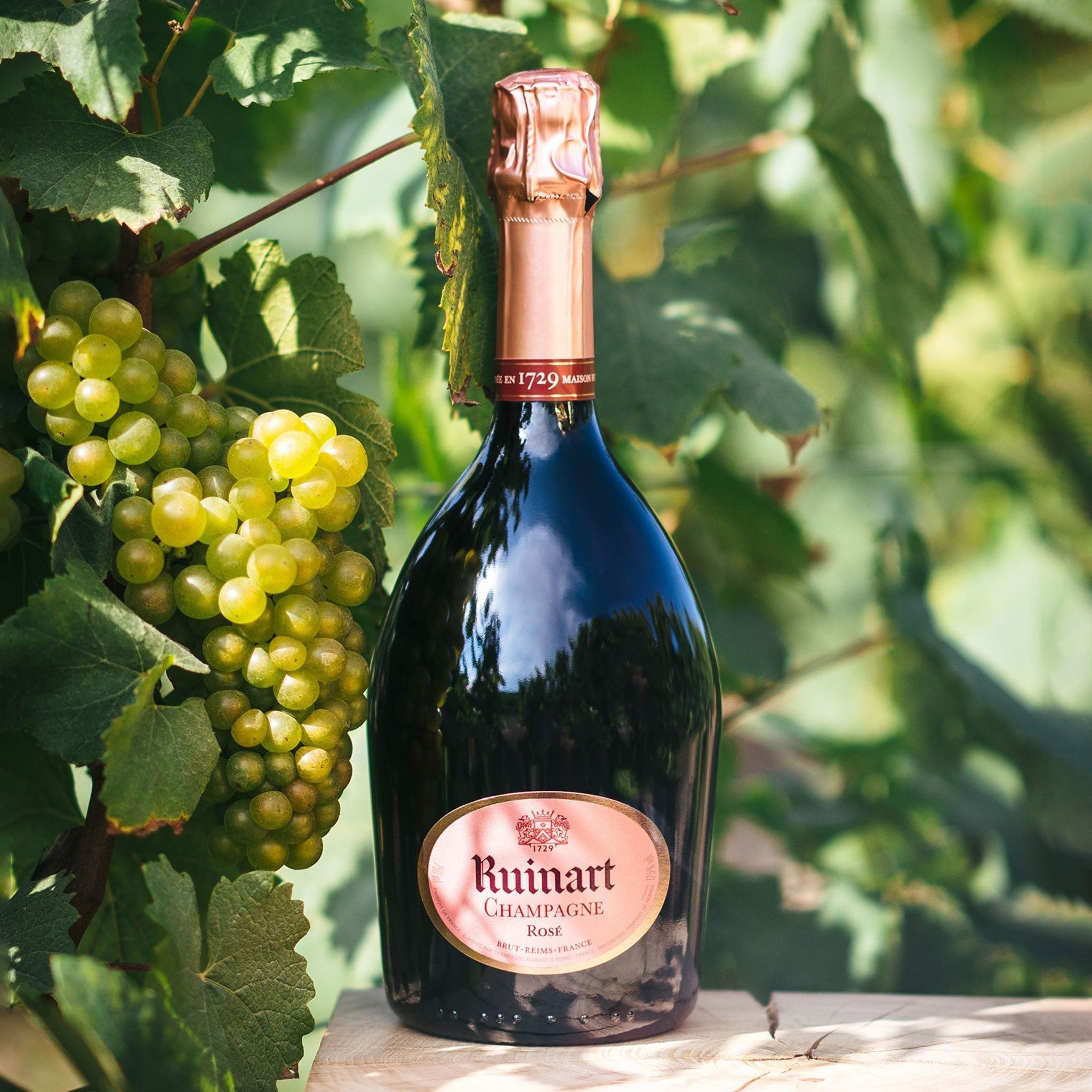 Ruinart Rosé