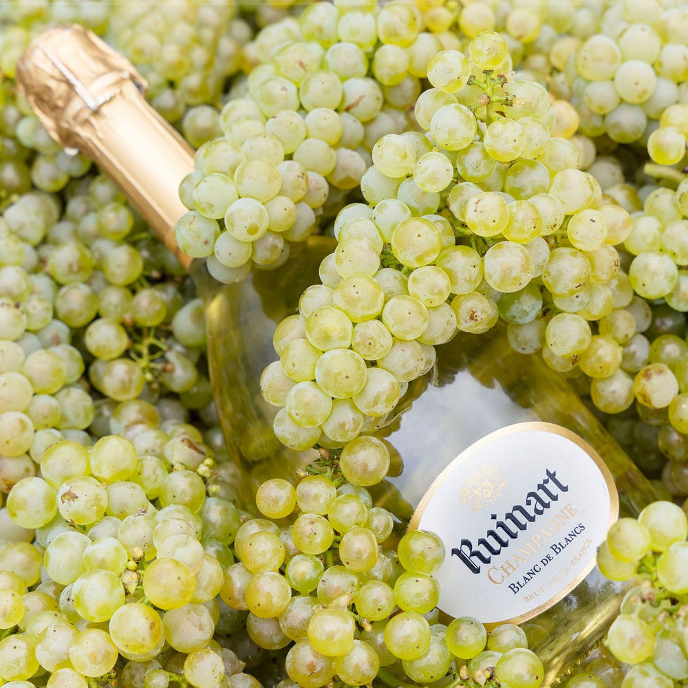 Ruinart Blanc de Blancs NV 375ml - Kent Street Cellars