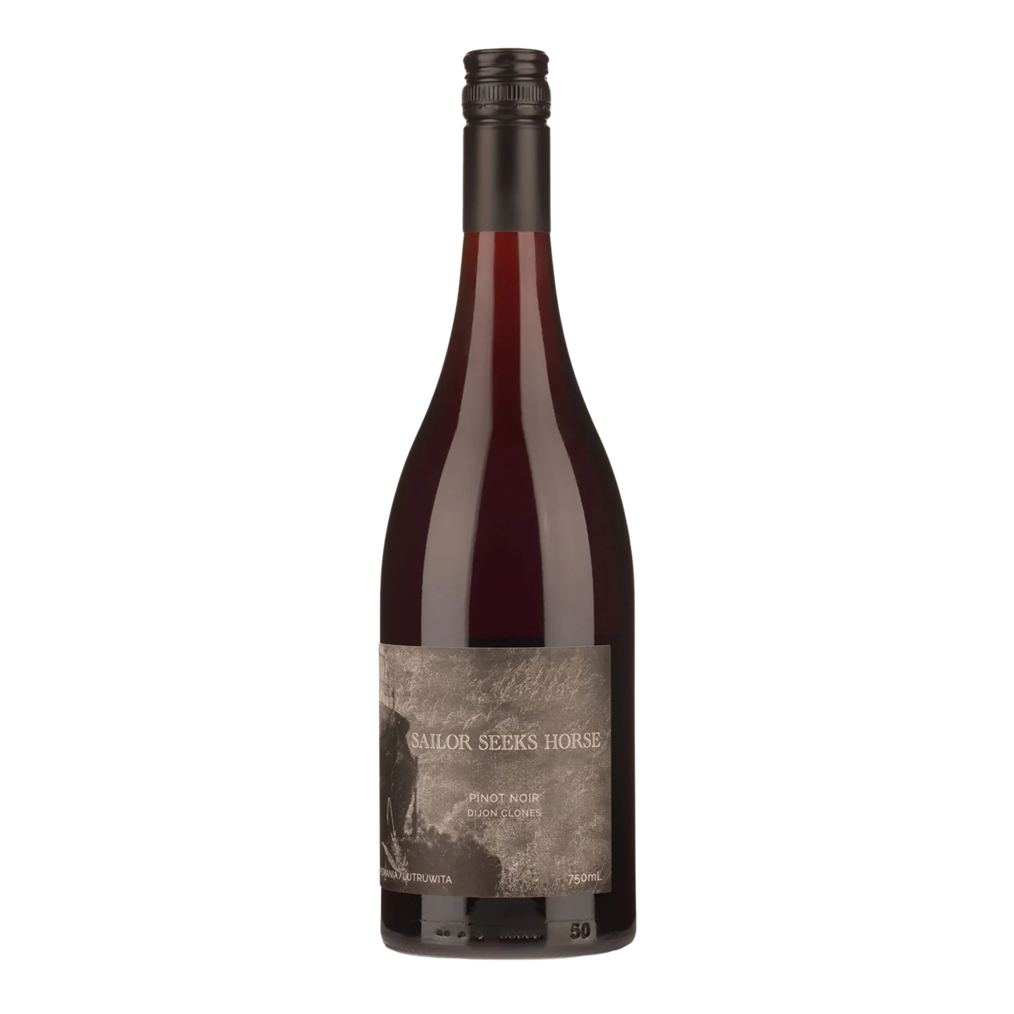 Sailor Seeks Horse Dijon Clone Pinot Noir 2024