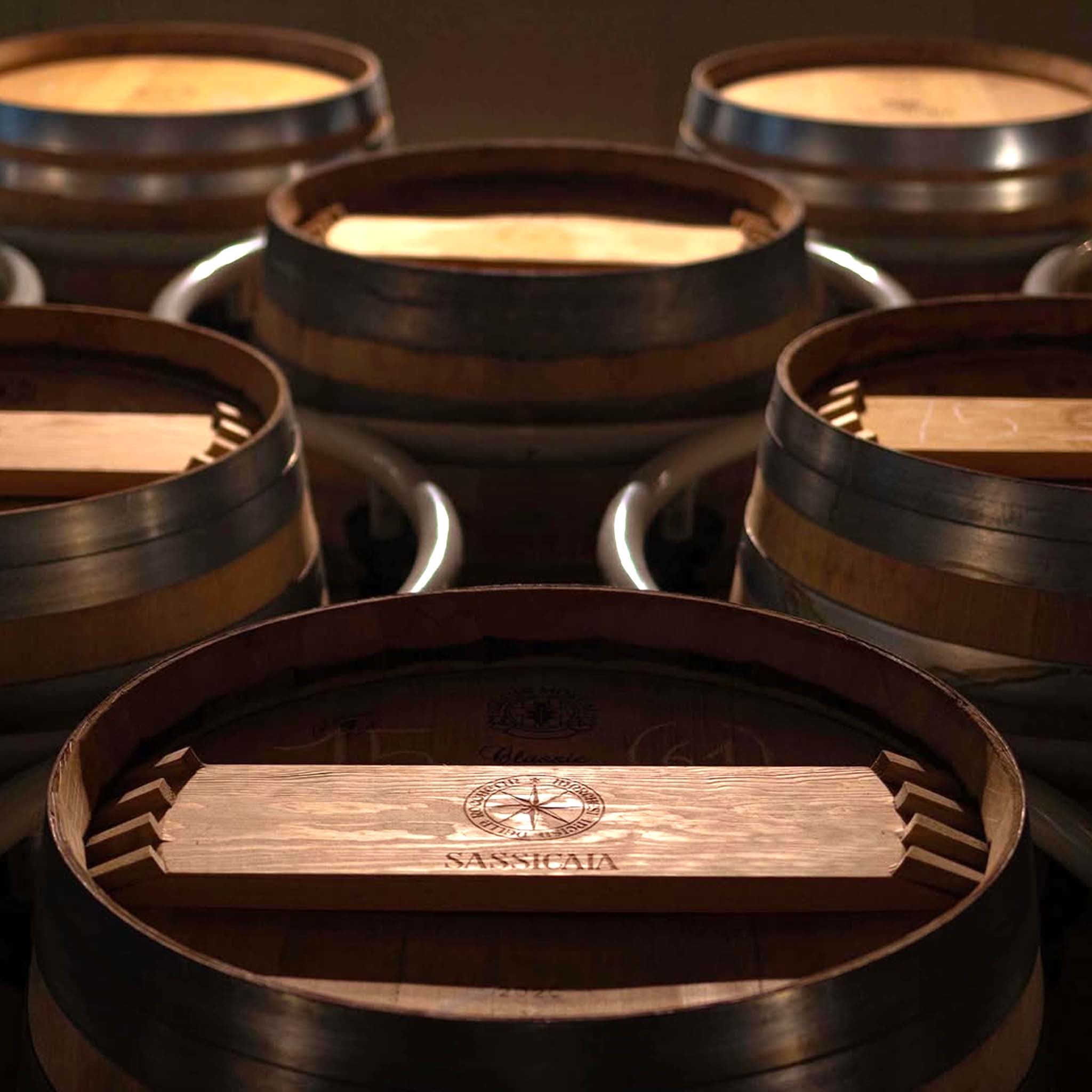 Tenuta San Guido Sassicaia DOC 2022
