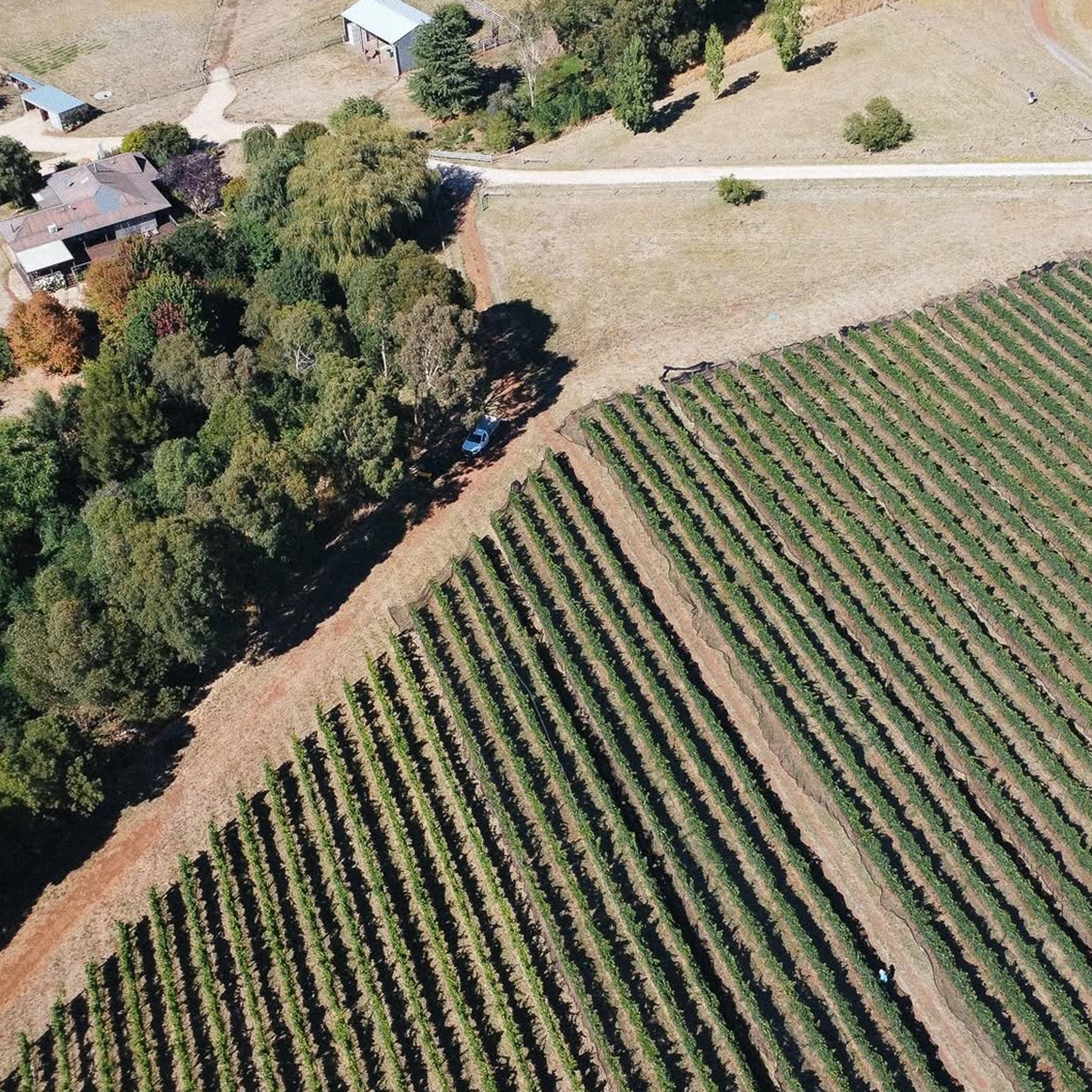 Shadowfax Macedon Ranges Pinot Noir 2023