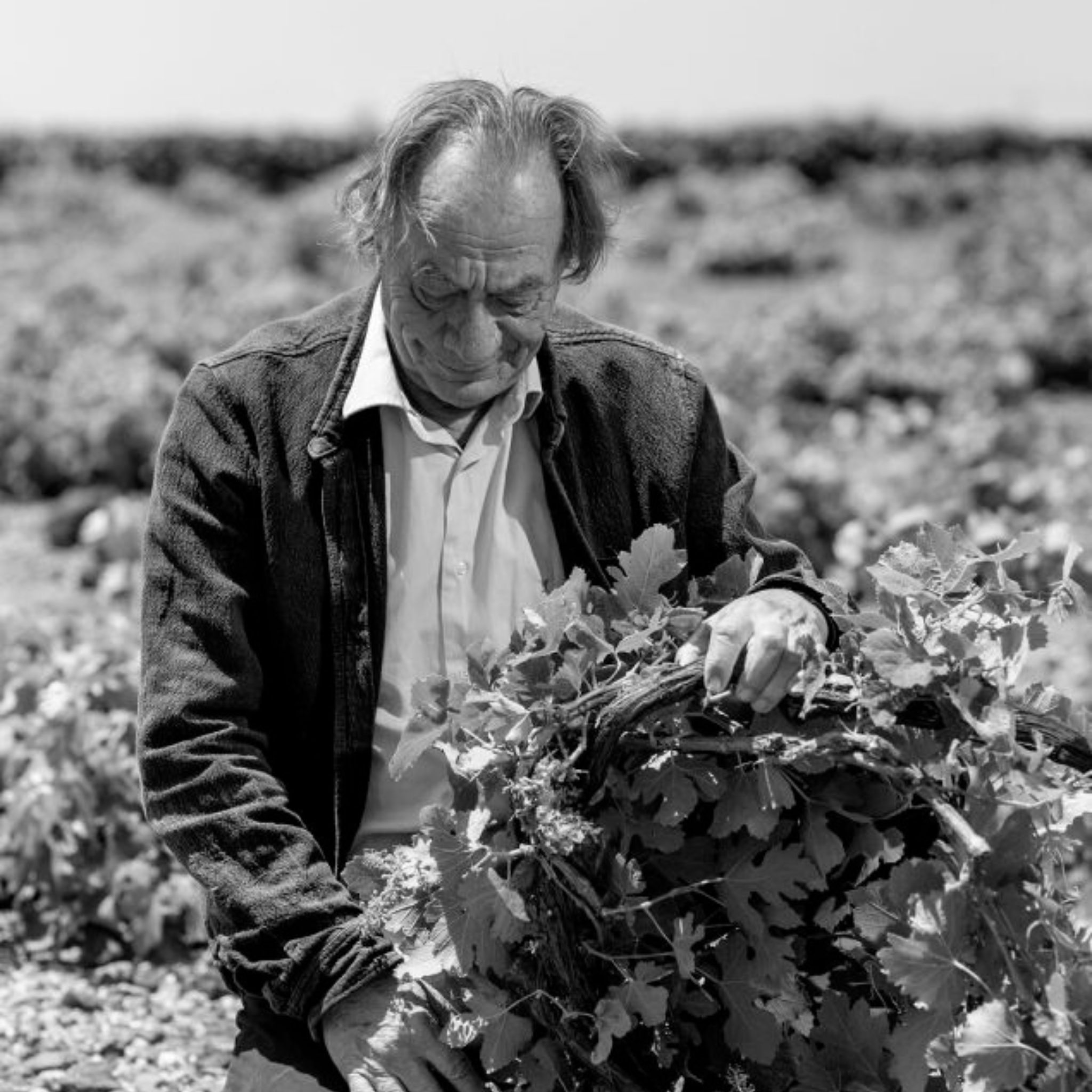 Sigalas Assyrtiko Santorini 2025
