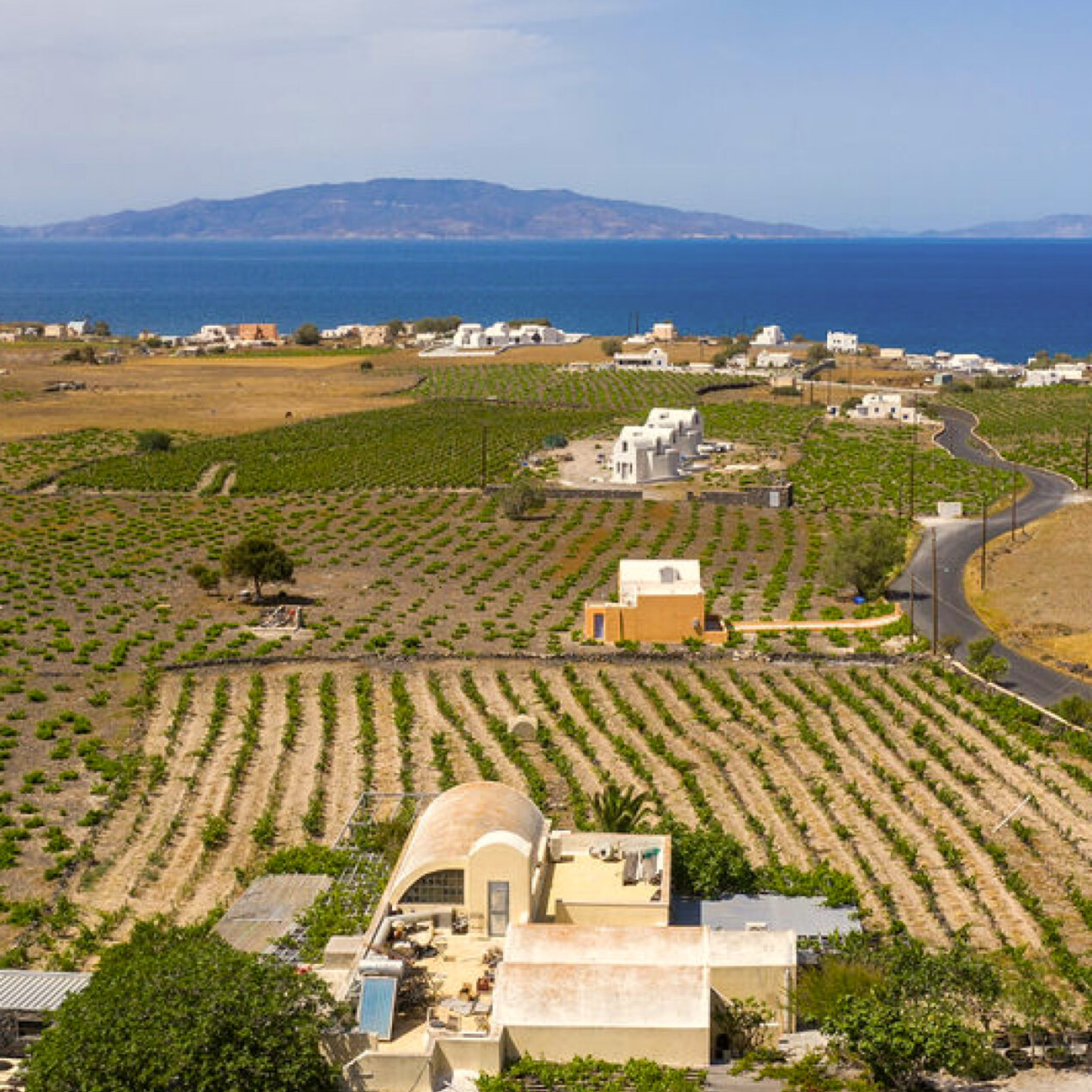 Sigalas Assyrtiko Santorini 2025
