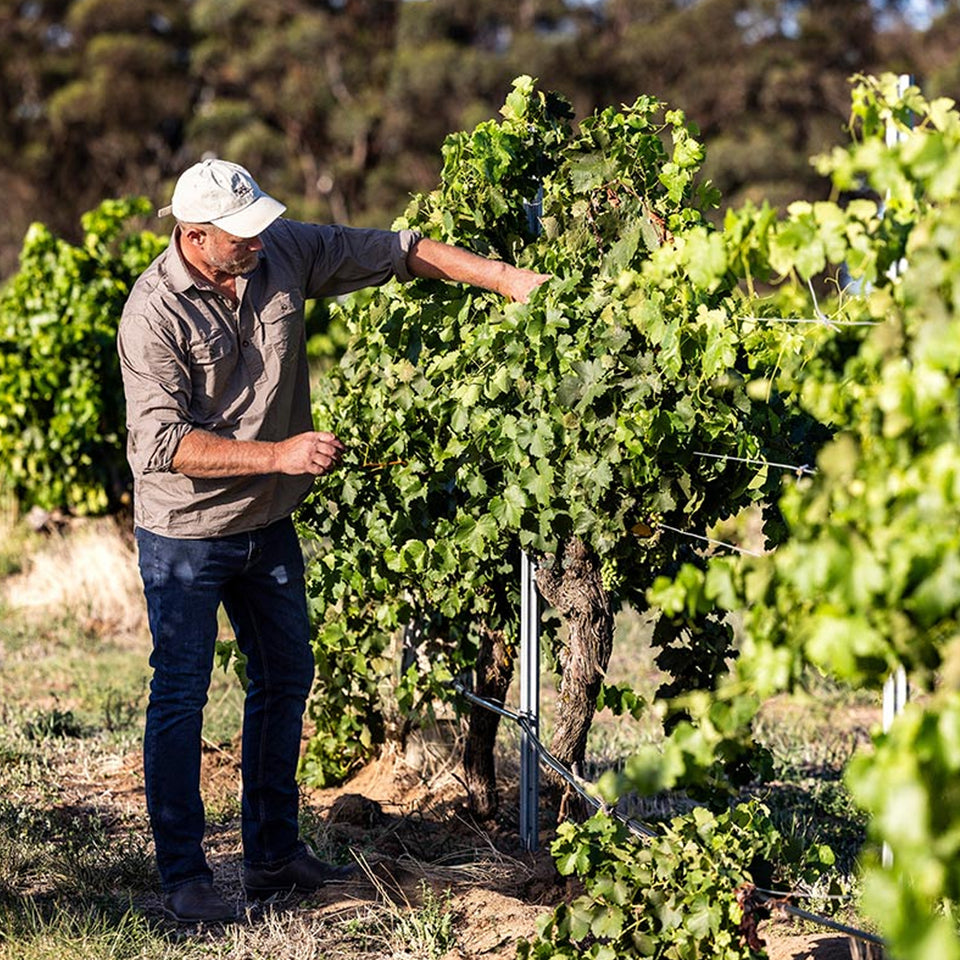 Spinifex Wines brand story