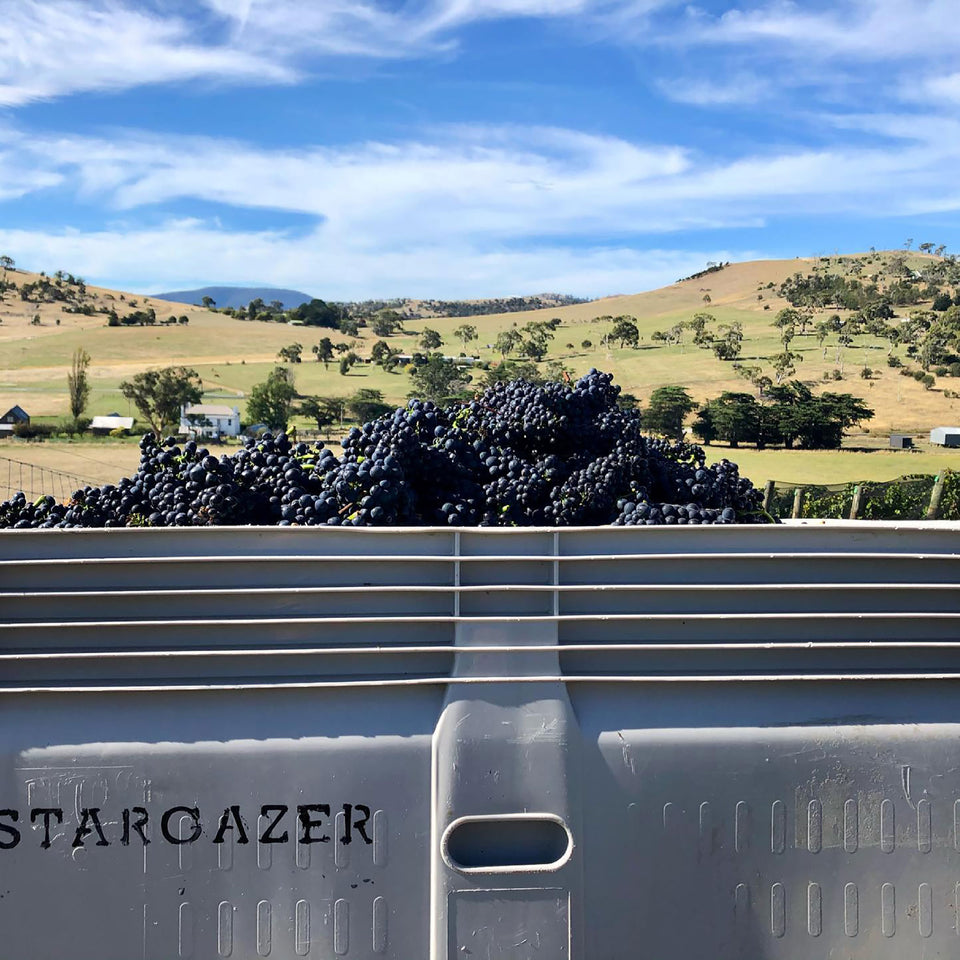 The Vineyard brand story