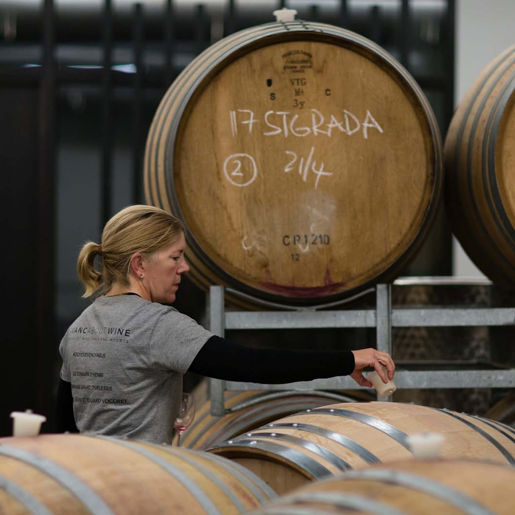 Stargazer Tupelo 2025