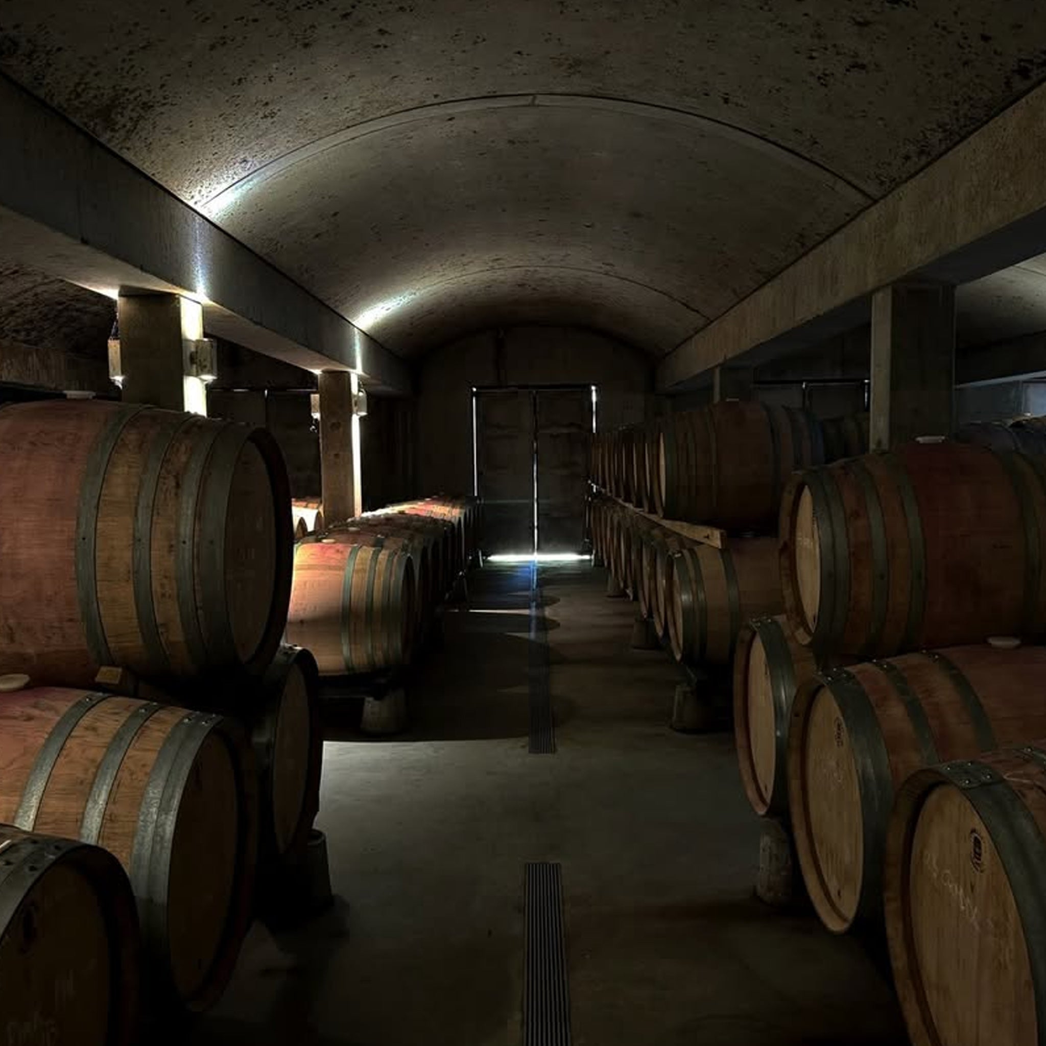 Stefano Lubiana Primavera Pinot Noir 2024