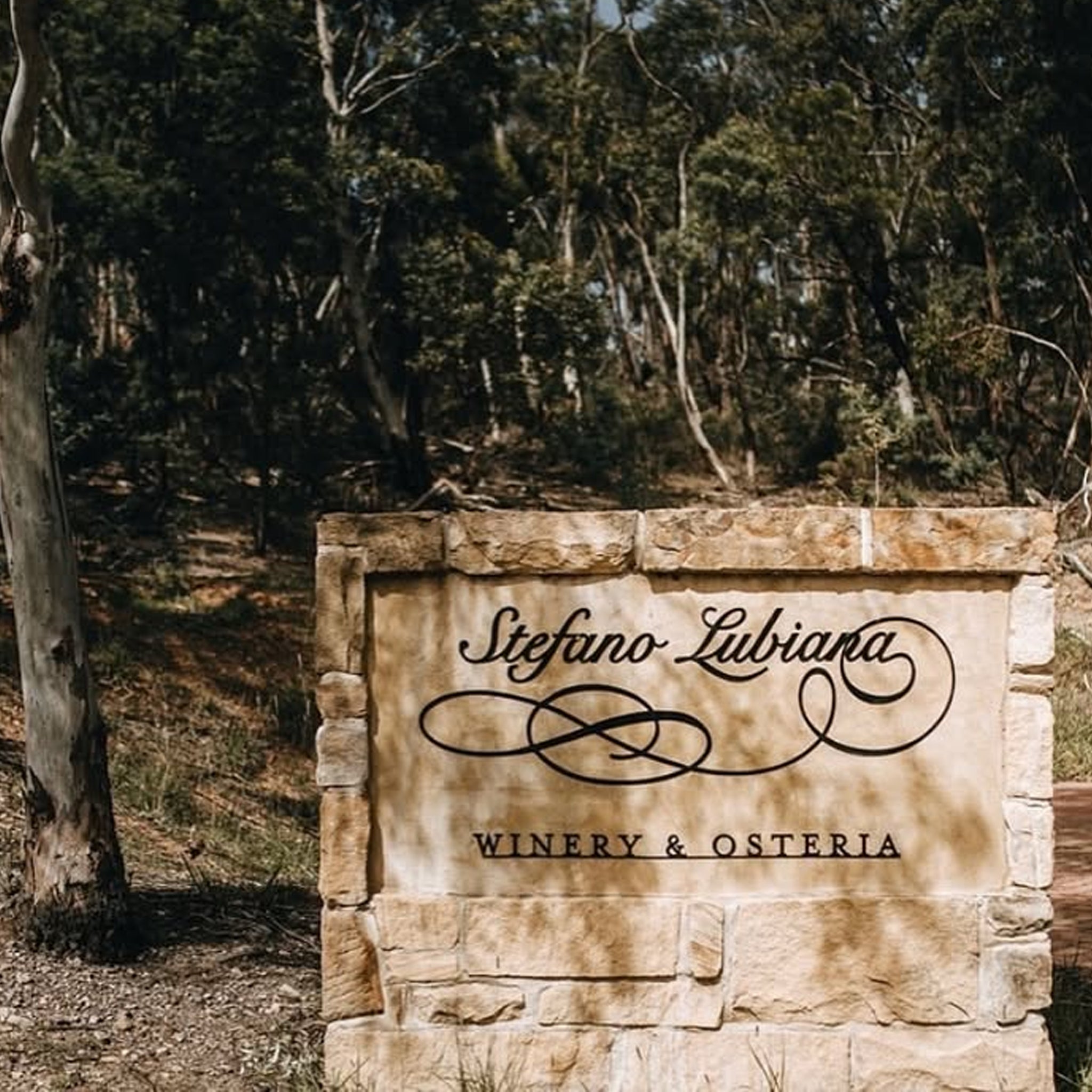 Stefano Lubiana Primavera Pinot Noir 2024