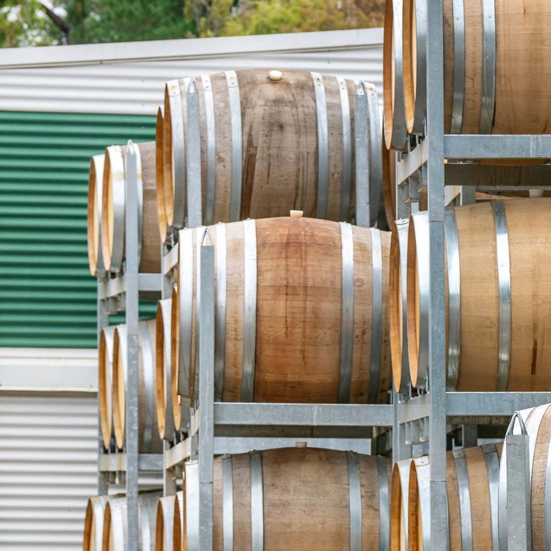 Stonier Pinot Noir 2025