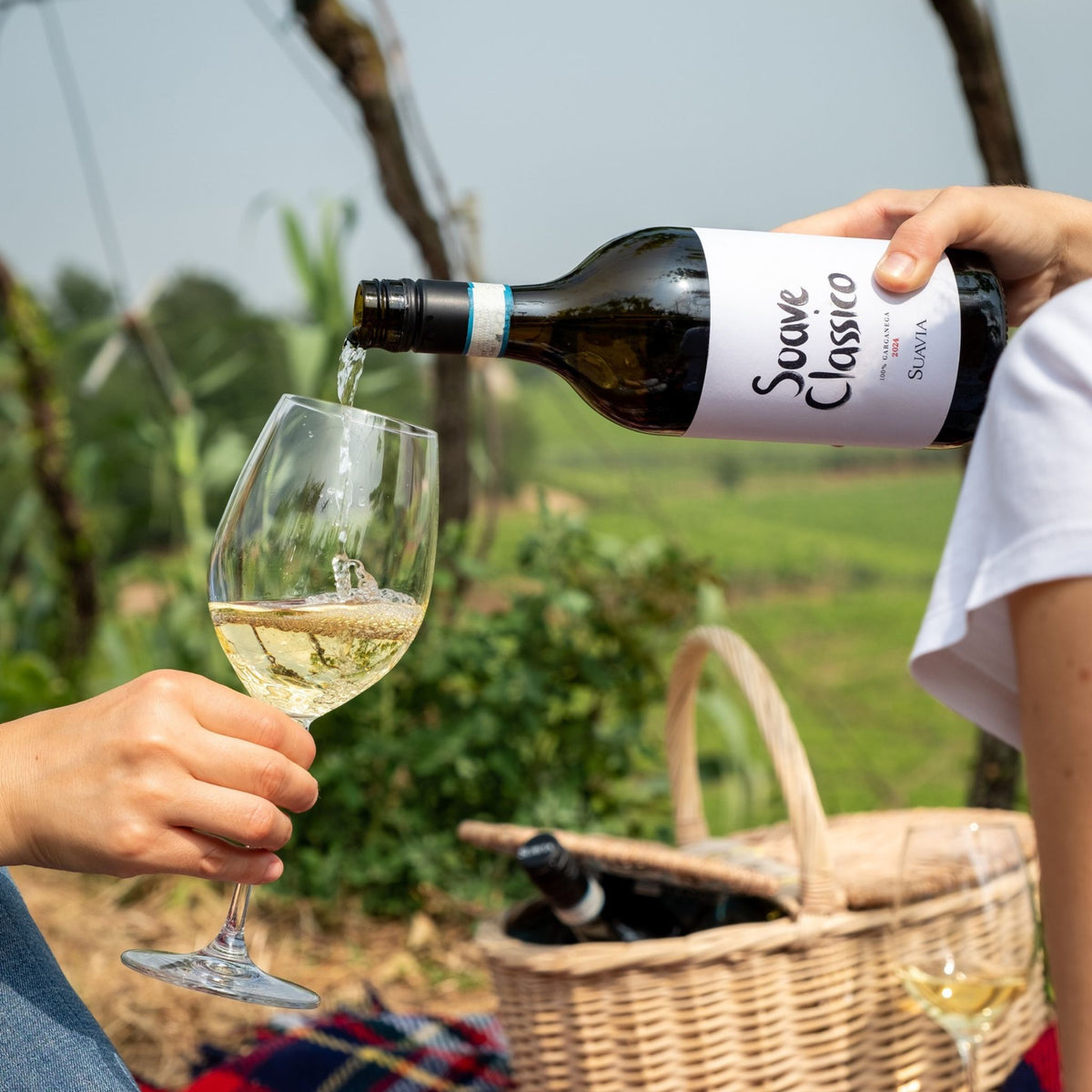 Suavia Soave Classico 2024
