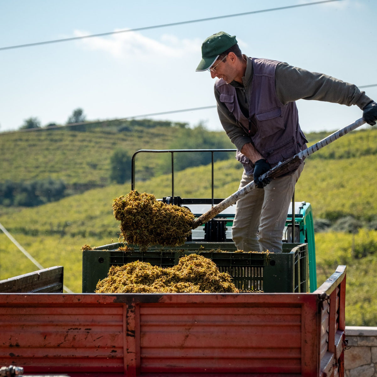 Suavia Soave Classico 2024