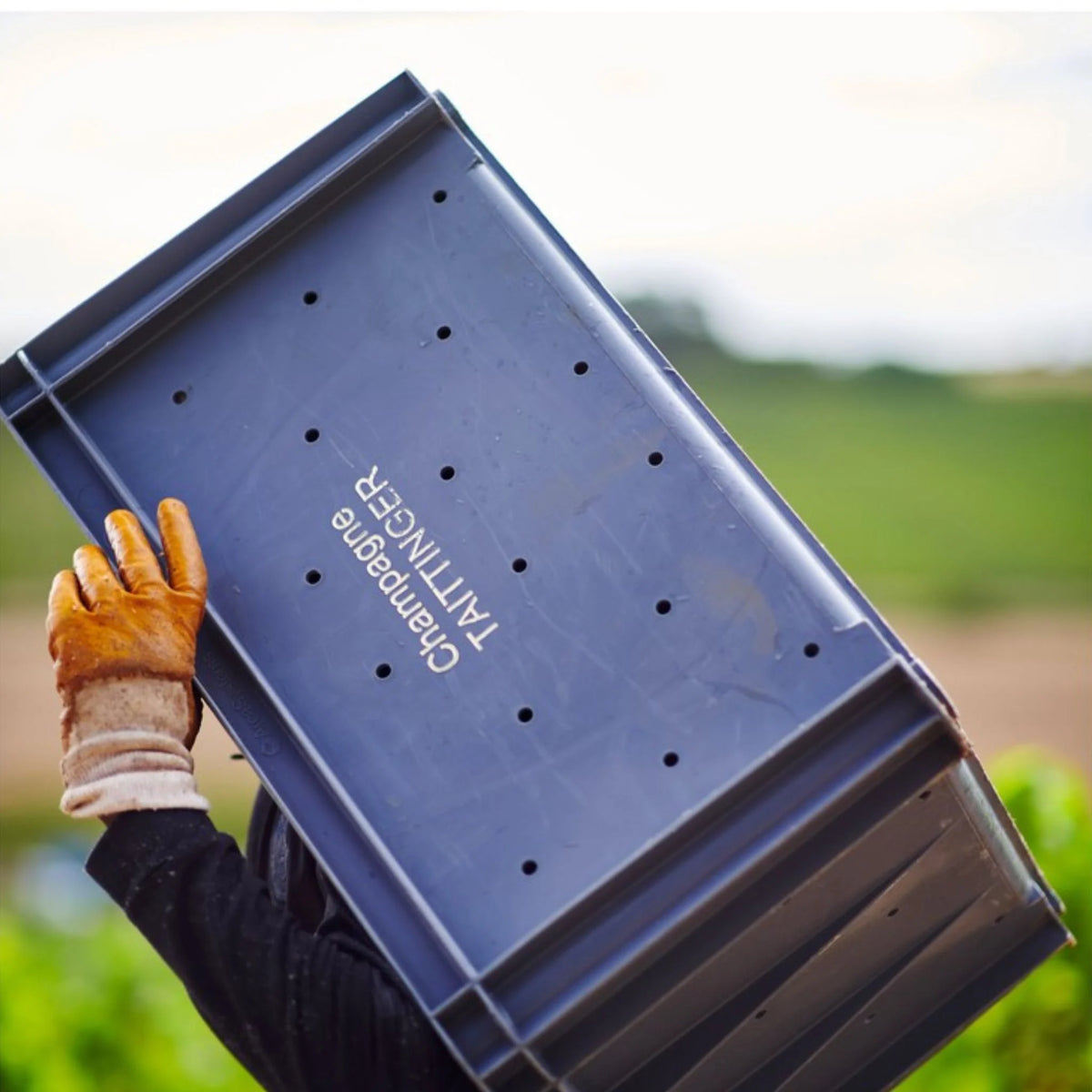 Taittinger Brut Millesime 2018