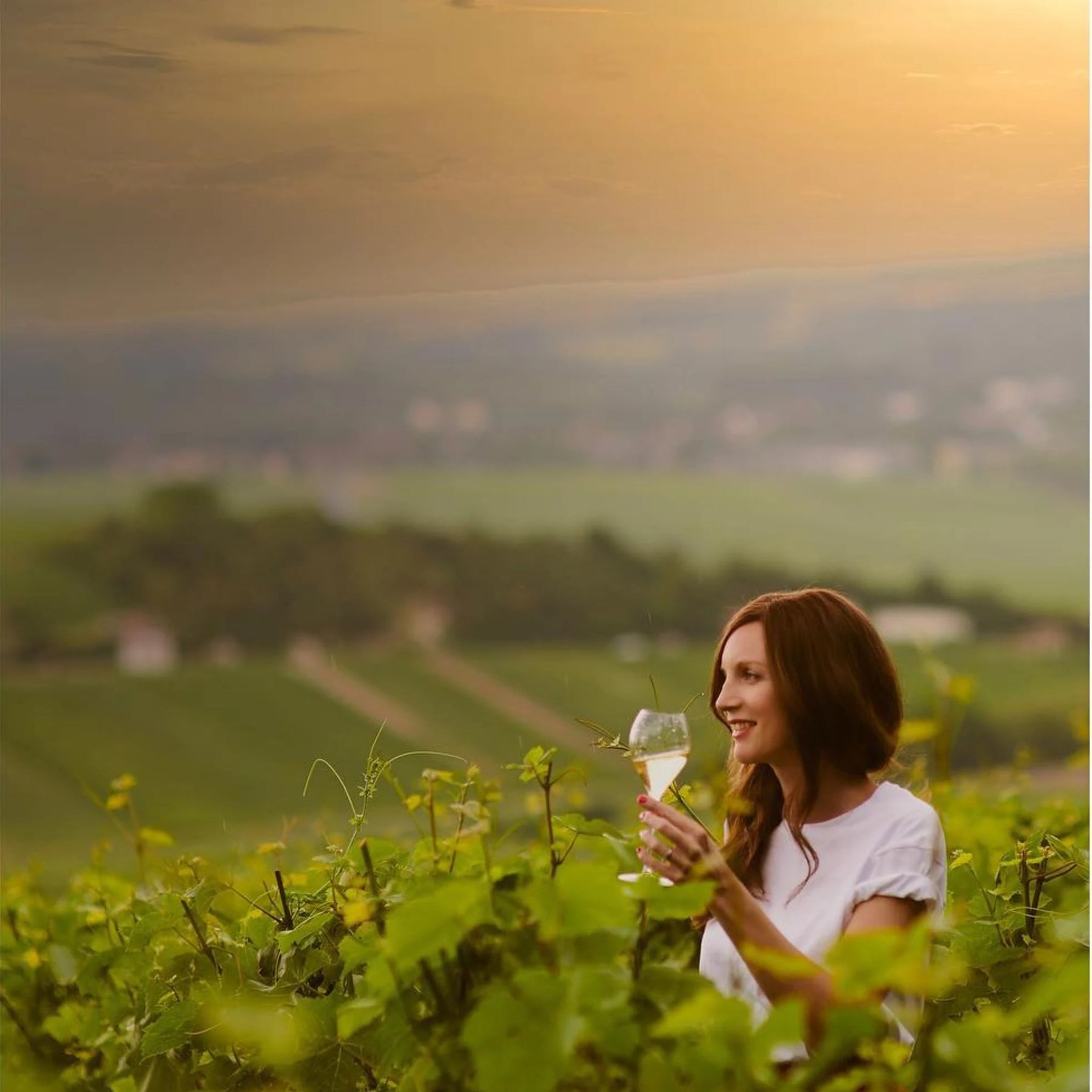 Taittinger Brut Millesime 2018