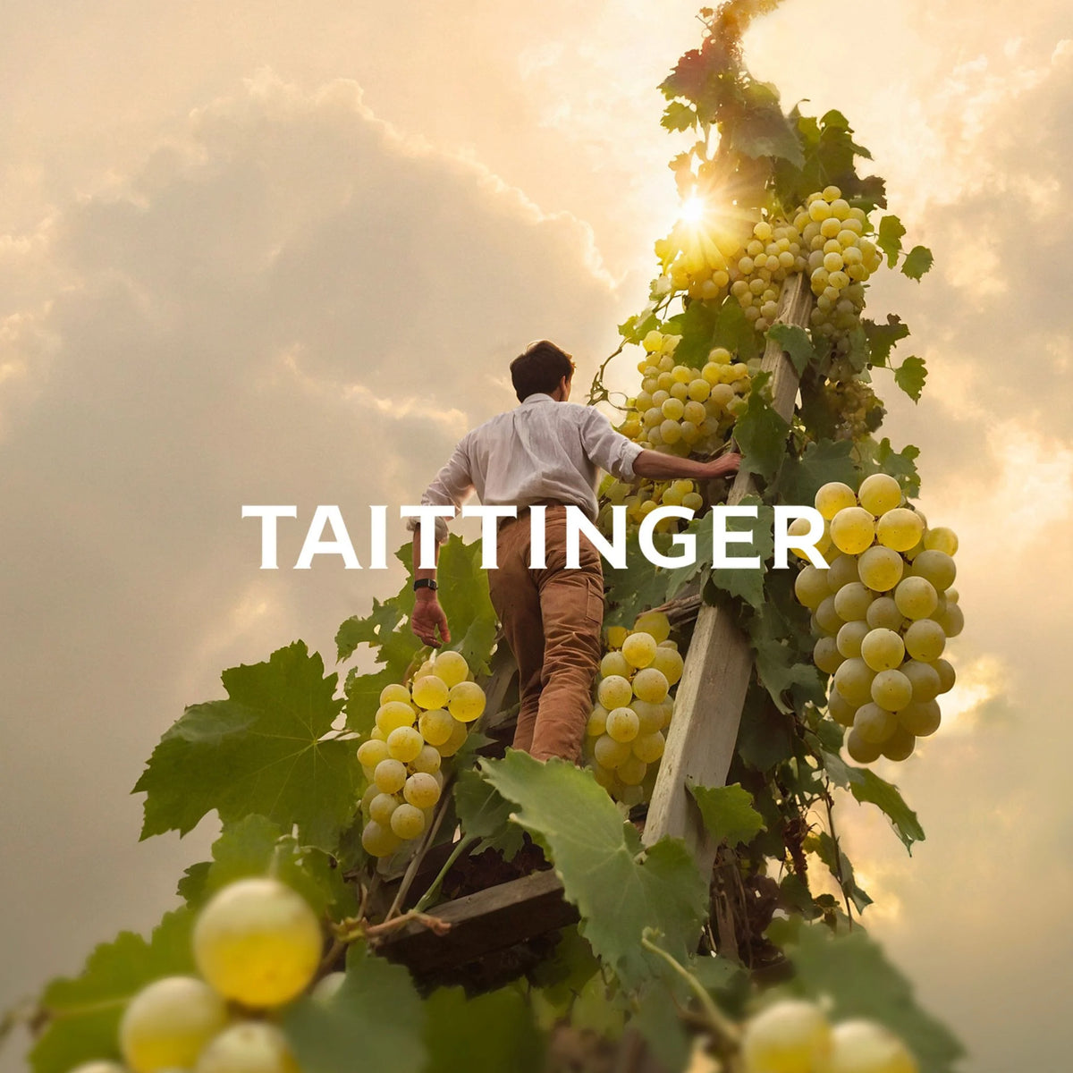 Taittinger Brut Millesime 2018