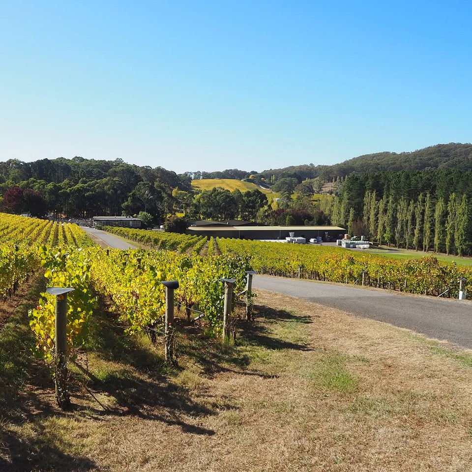 The Vineyard brand story