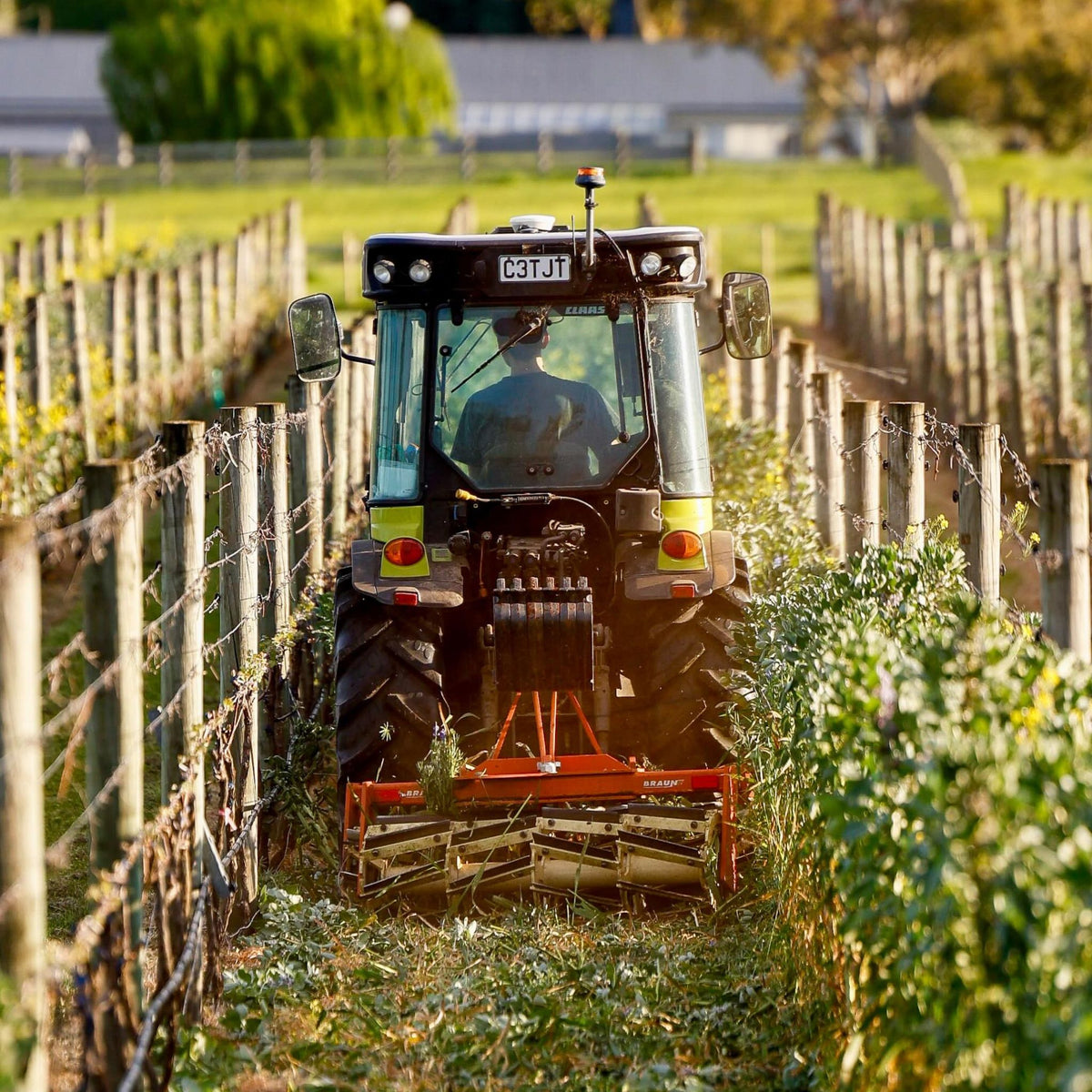 Te Mata Alma Pinot Noir 2024
