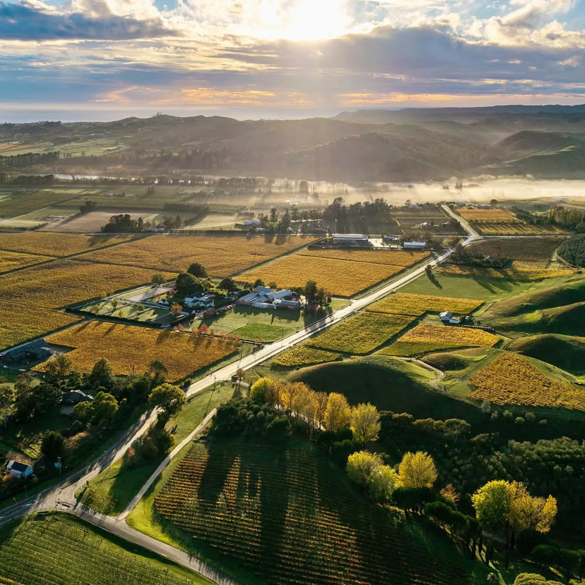 Te Mata Estate Vineyards Pinot Noir 2024