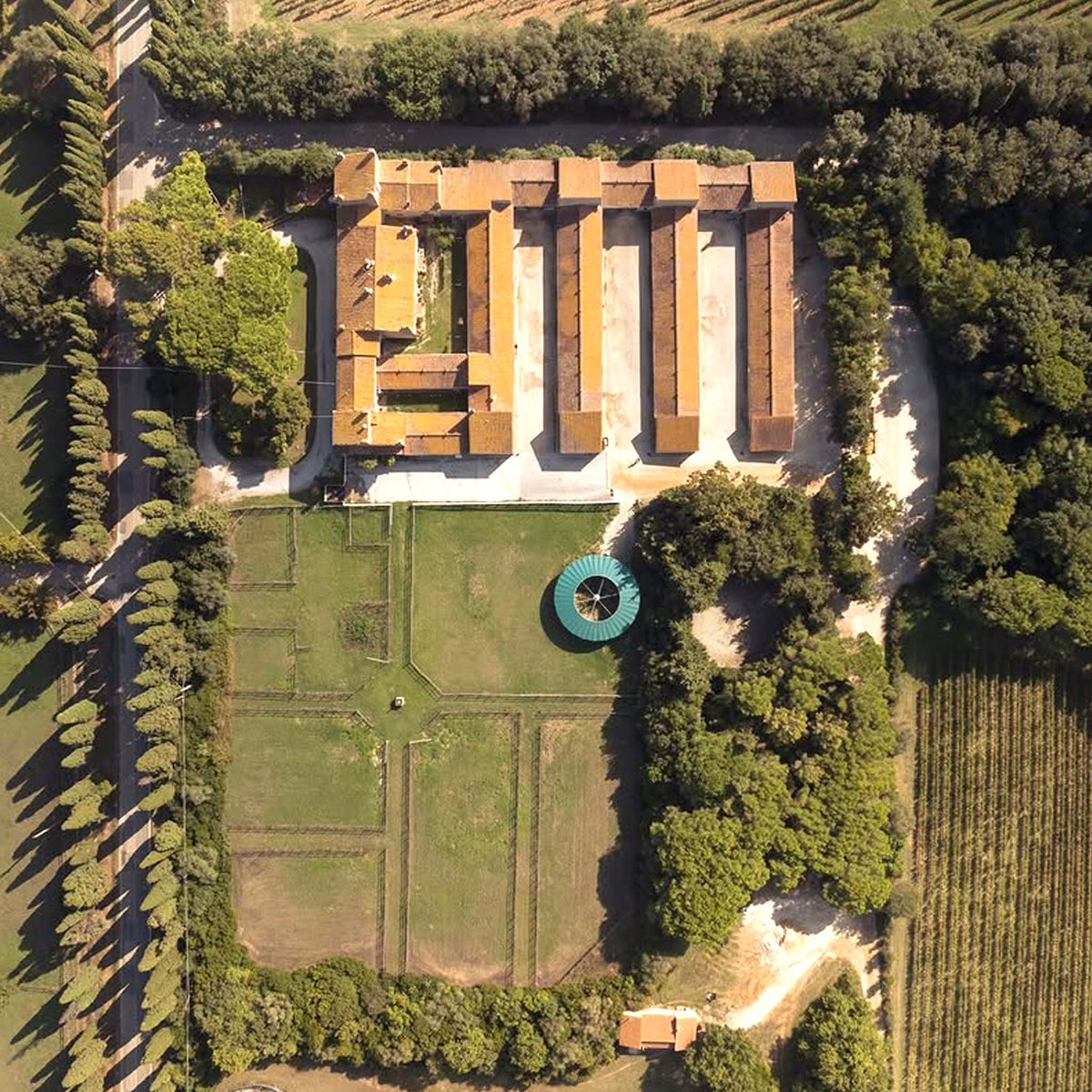 Tenuta San Guido Guidalberto IGT 2023
