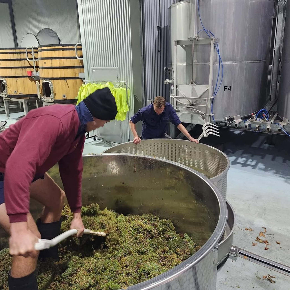 The Other Wine Co. Pinot Gris 2025