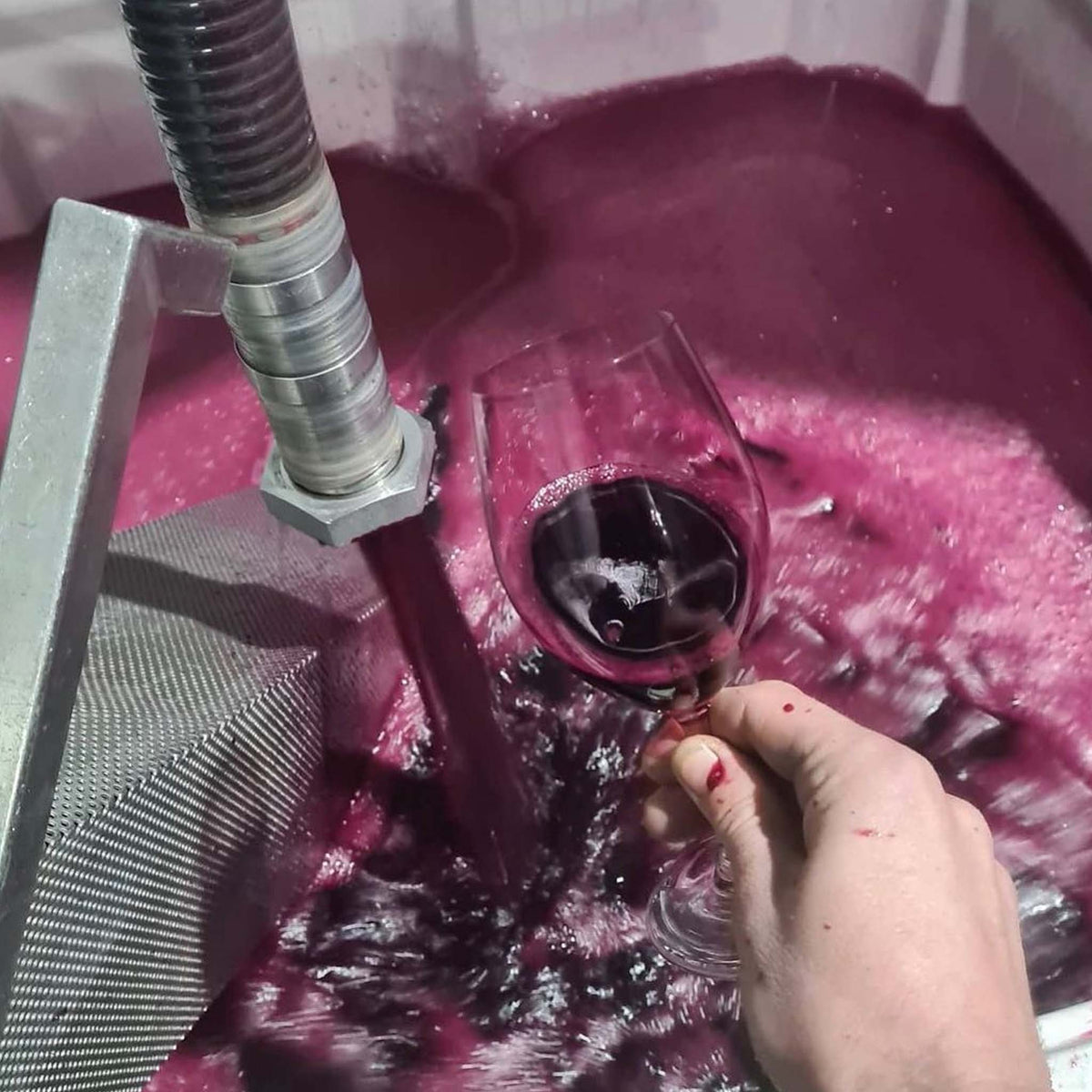 The Other Wine Co. Sangiovese 2025