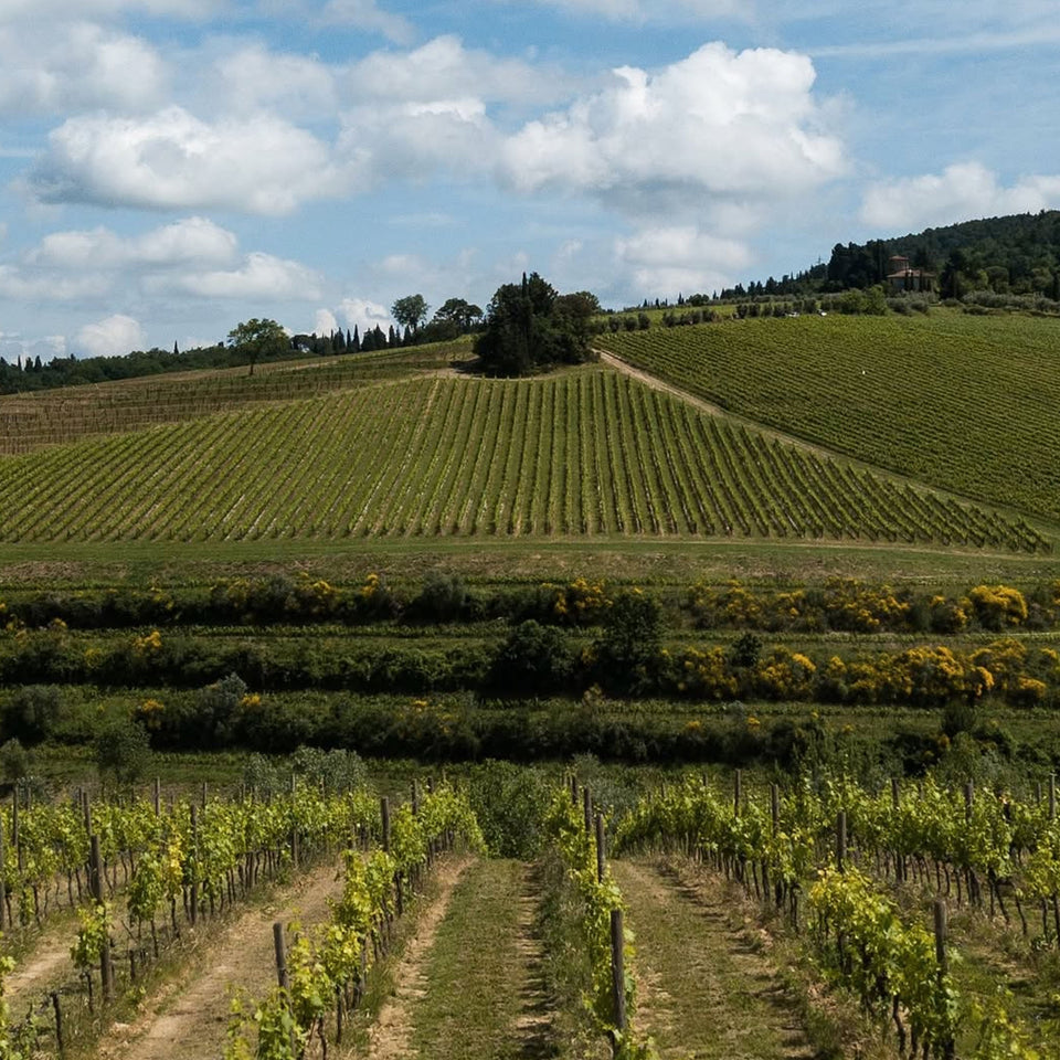 Marchesi Antinori brand story