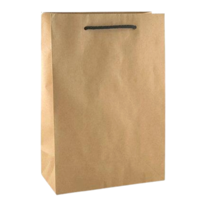 Triple Bottle Gift Bag - Kraft