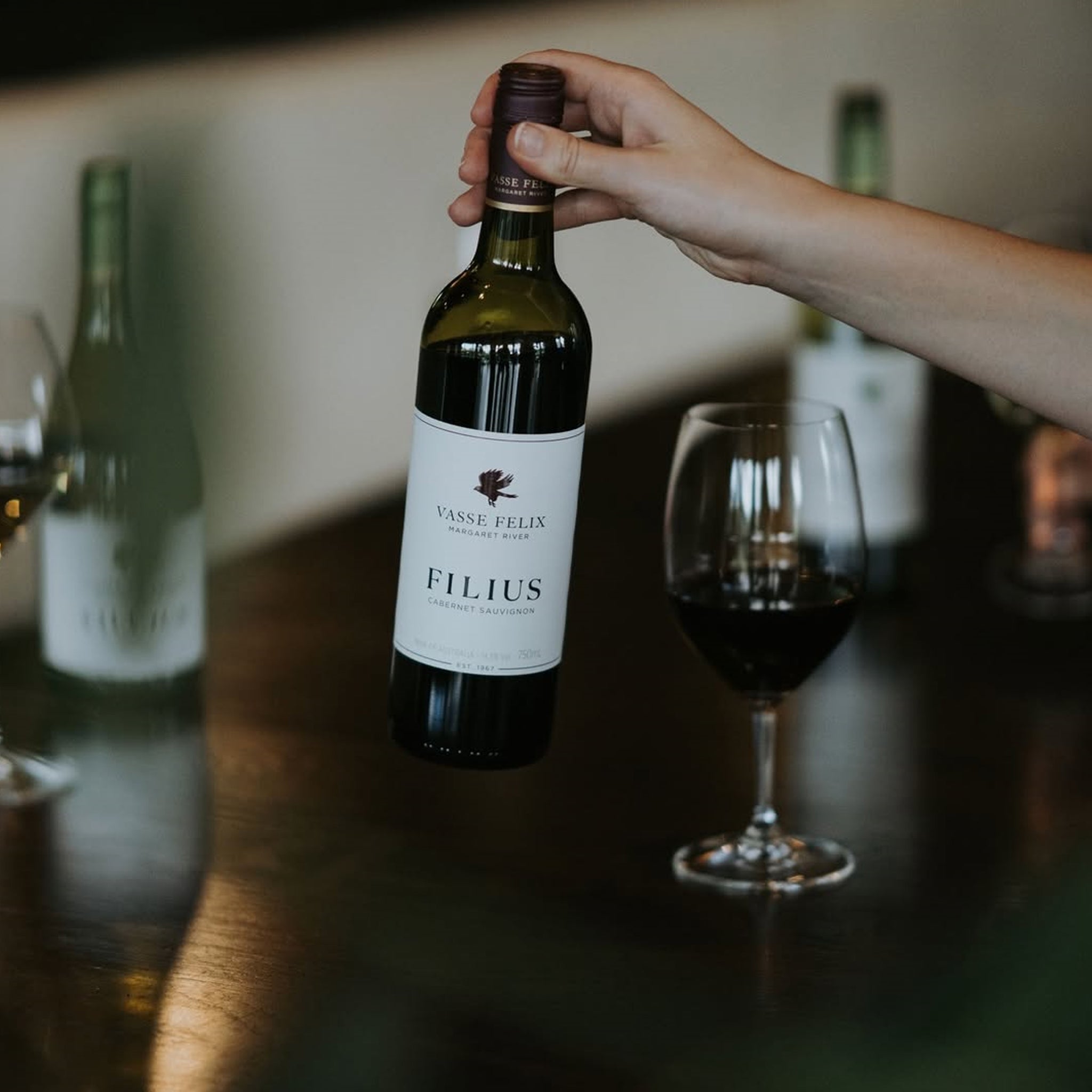 Vasse Felix Filius Cabernet Sauvignon 2023