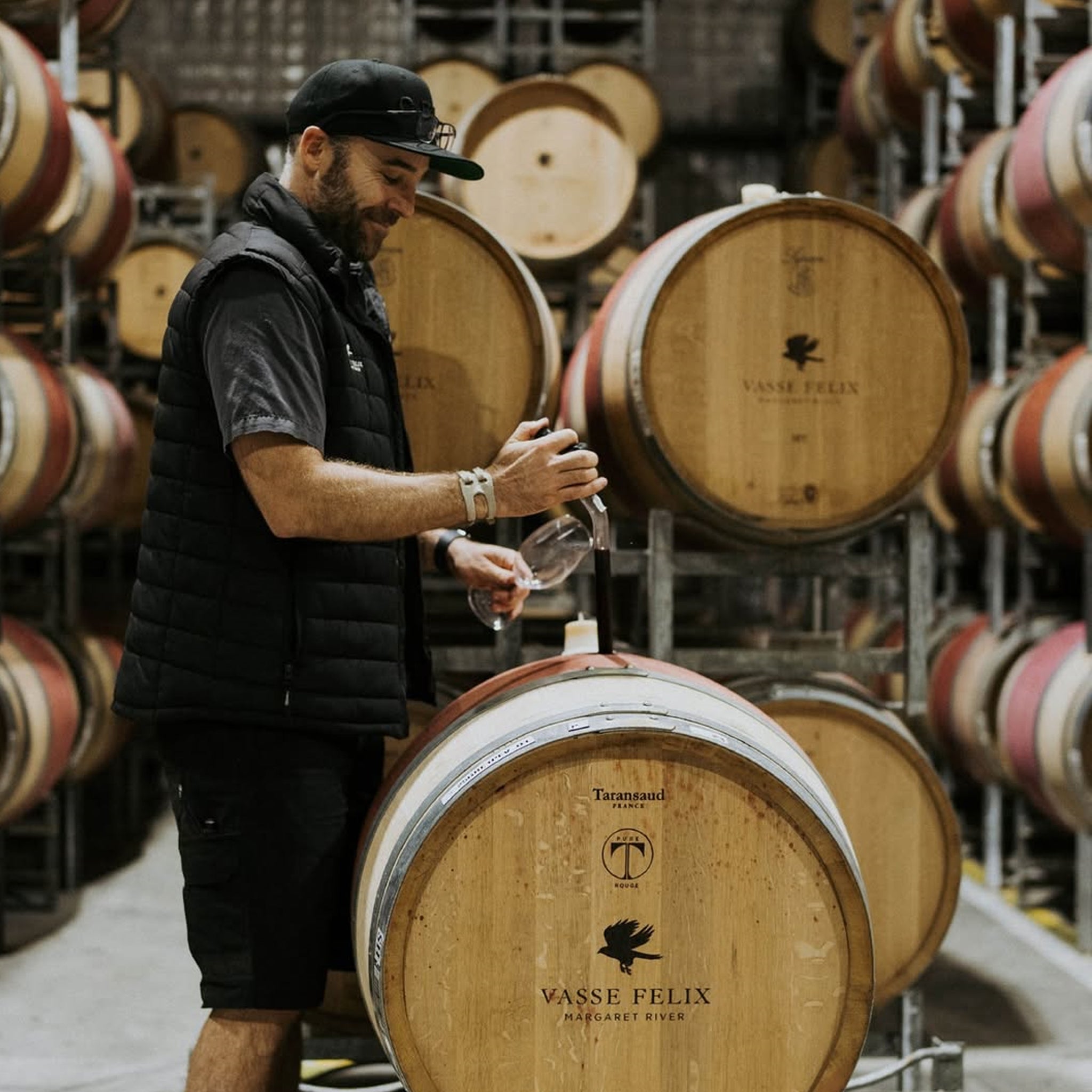 Vasse Felix Filius Cabernet Sauvignon 2023