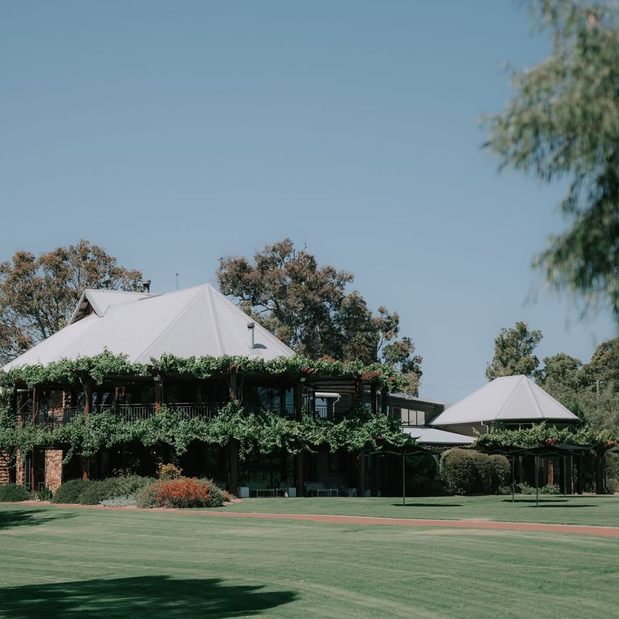 Vasse Felix Filius Cabernet Sauvignon 2023