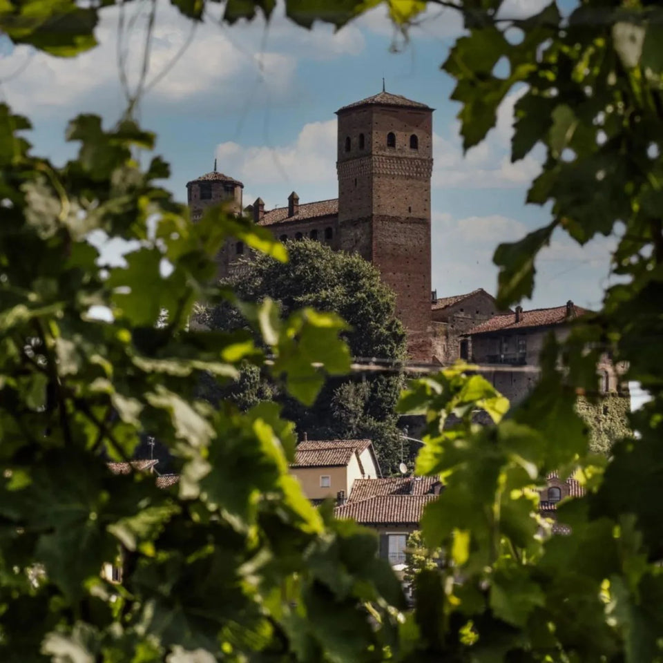 Vietti brand story