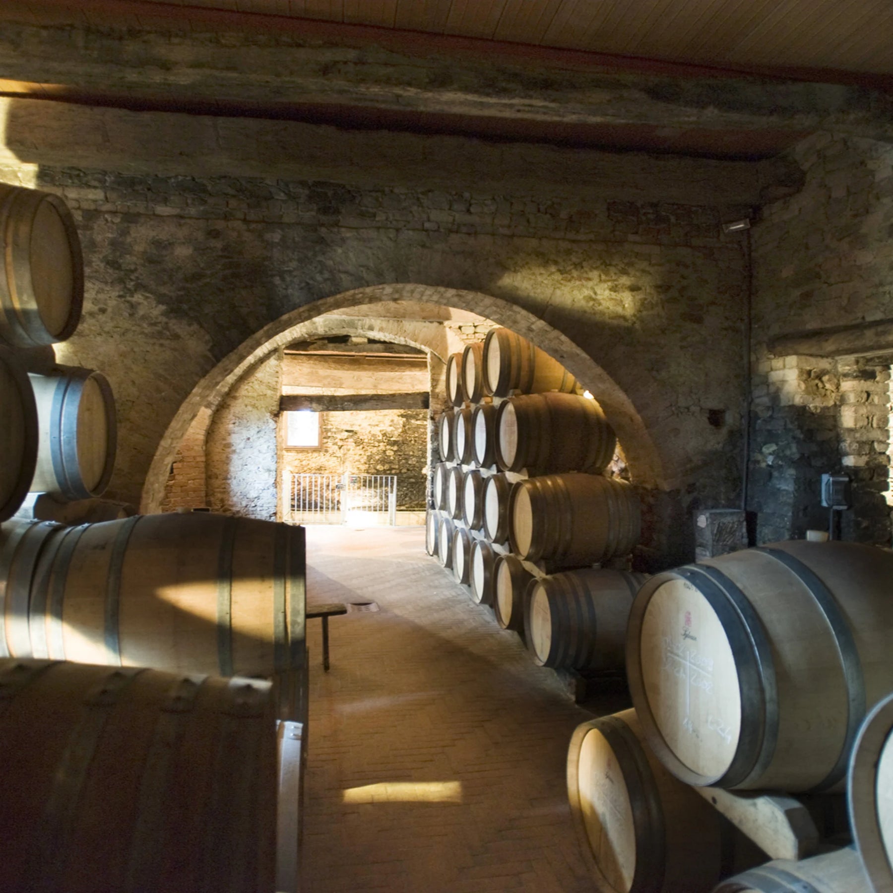Vietti Langhe Nebbiolo Perbacco 2023