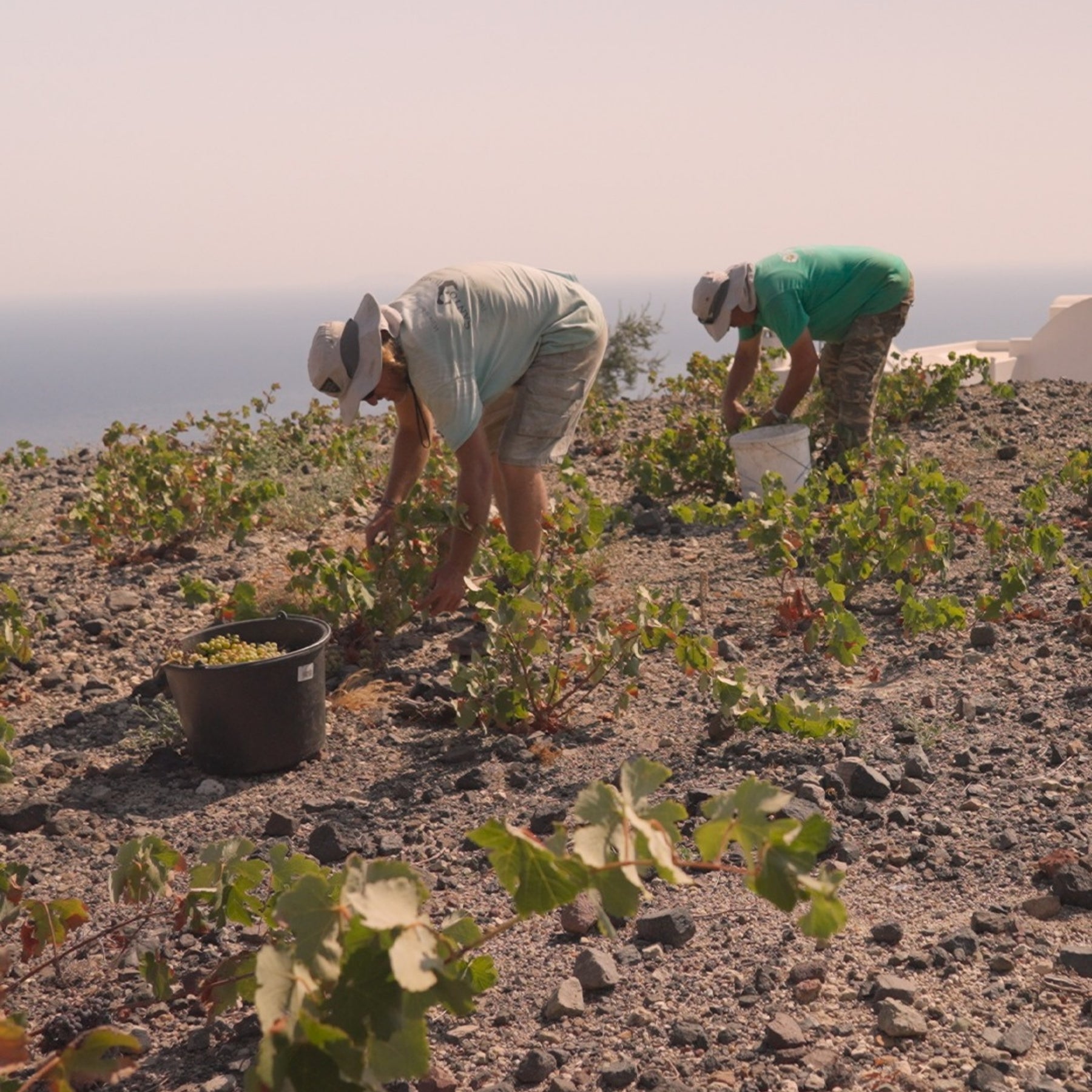 SantoWines Santorini Vinsanto 2013