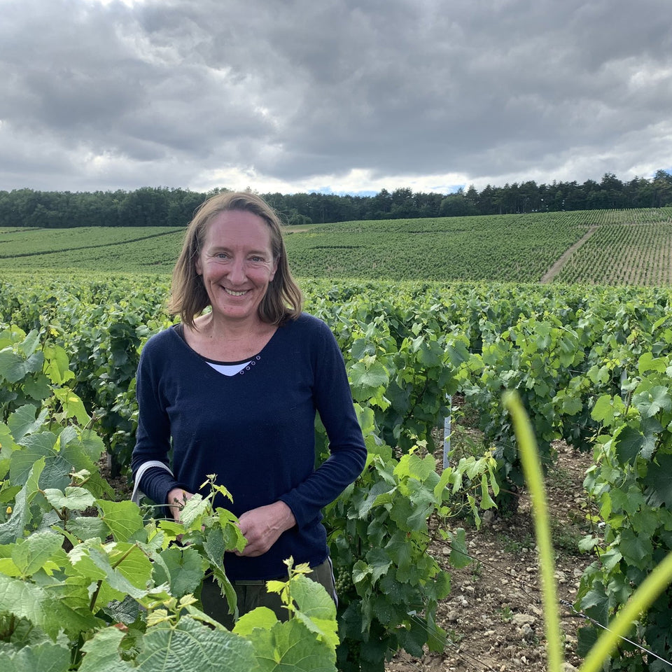 Domaine Moreau-Naudet brand story
