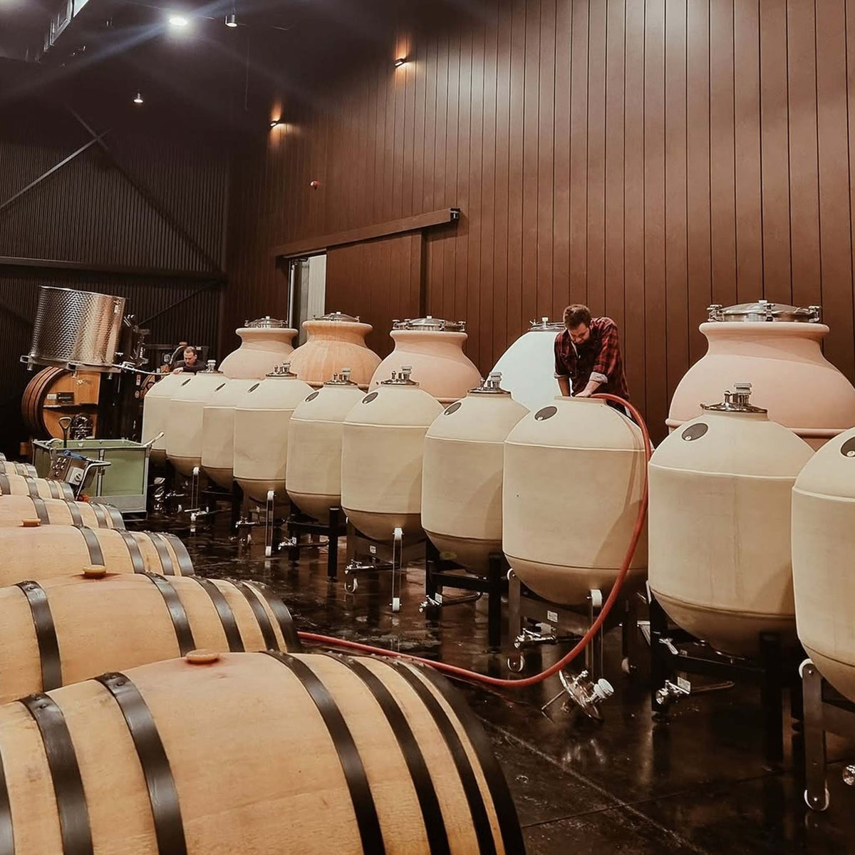 Yangarra Old Vine Grenache 2024
