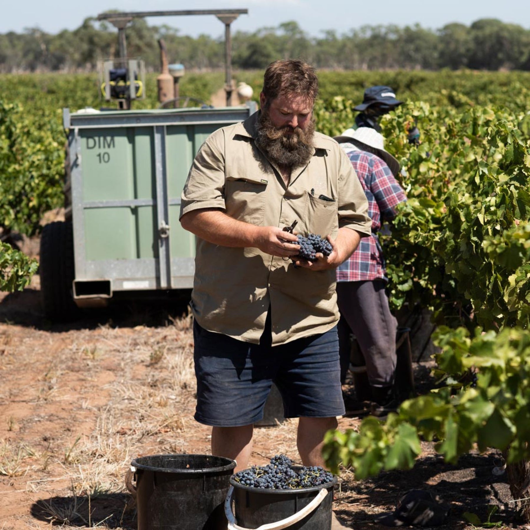 Ben Glaetzer Eye of Ra Shiraz 2018
