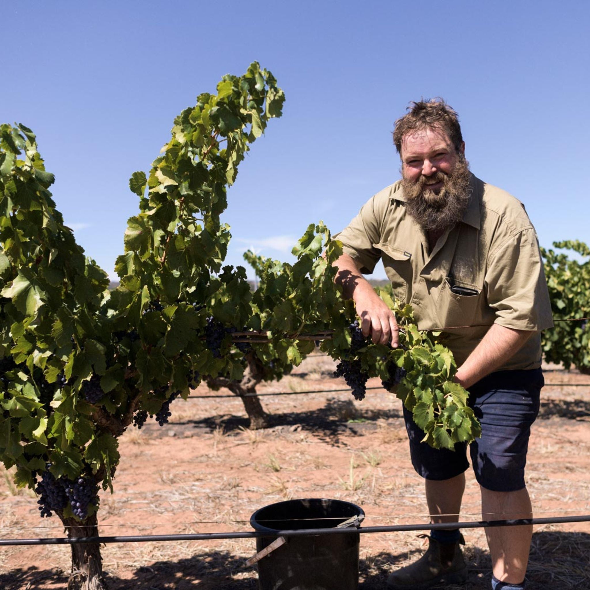 Ben Glaetzer Wallace Shiraz Grenache 2021