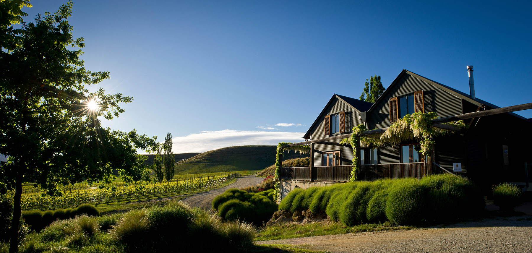 Felton Road Cornish Pinot Noir 2022