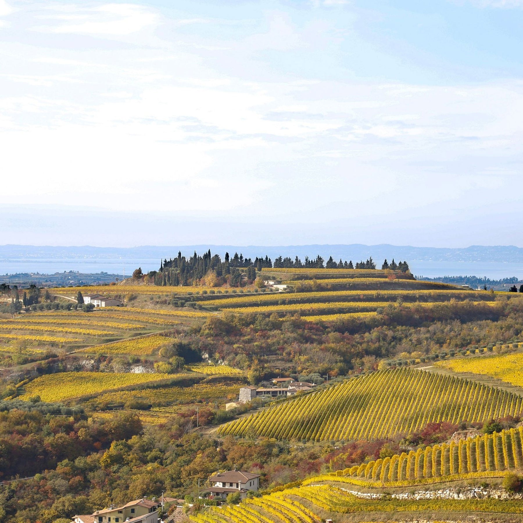Allegrini Fieramonte Amarone Classico Riserva DOCG 2015