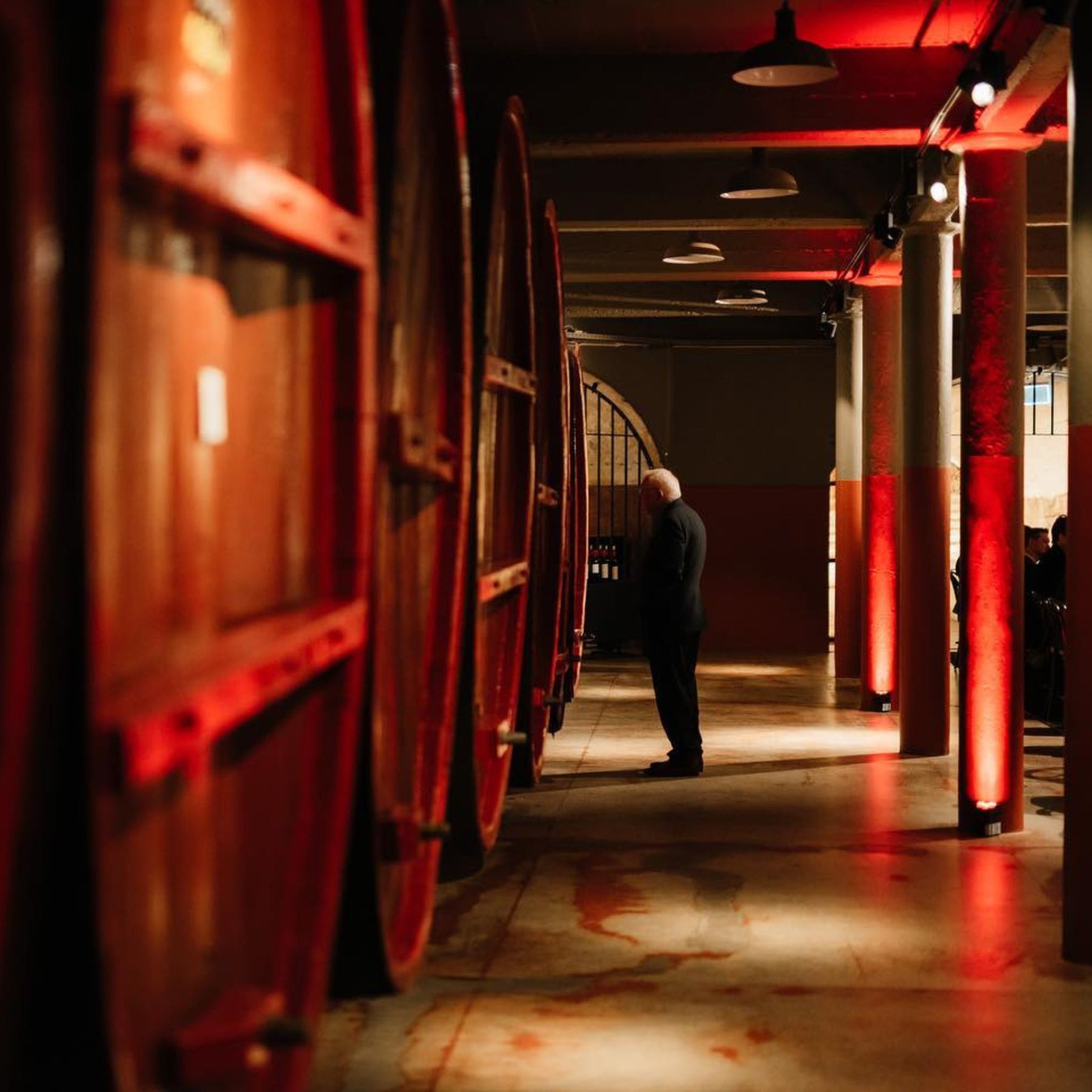Barrel Room at Penfolds Magill Estate - Kent Street Cellars