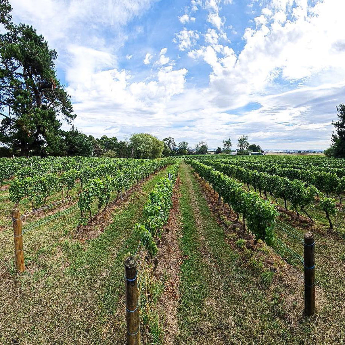 Bass Phillip Estate Pinot Noir 2017 - Kent Street Cellars