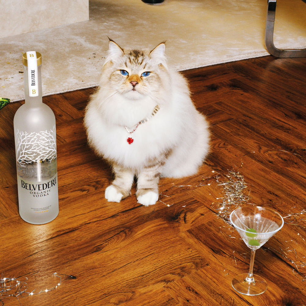 Belvedere Pure Vodka 1L