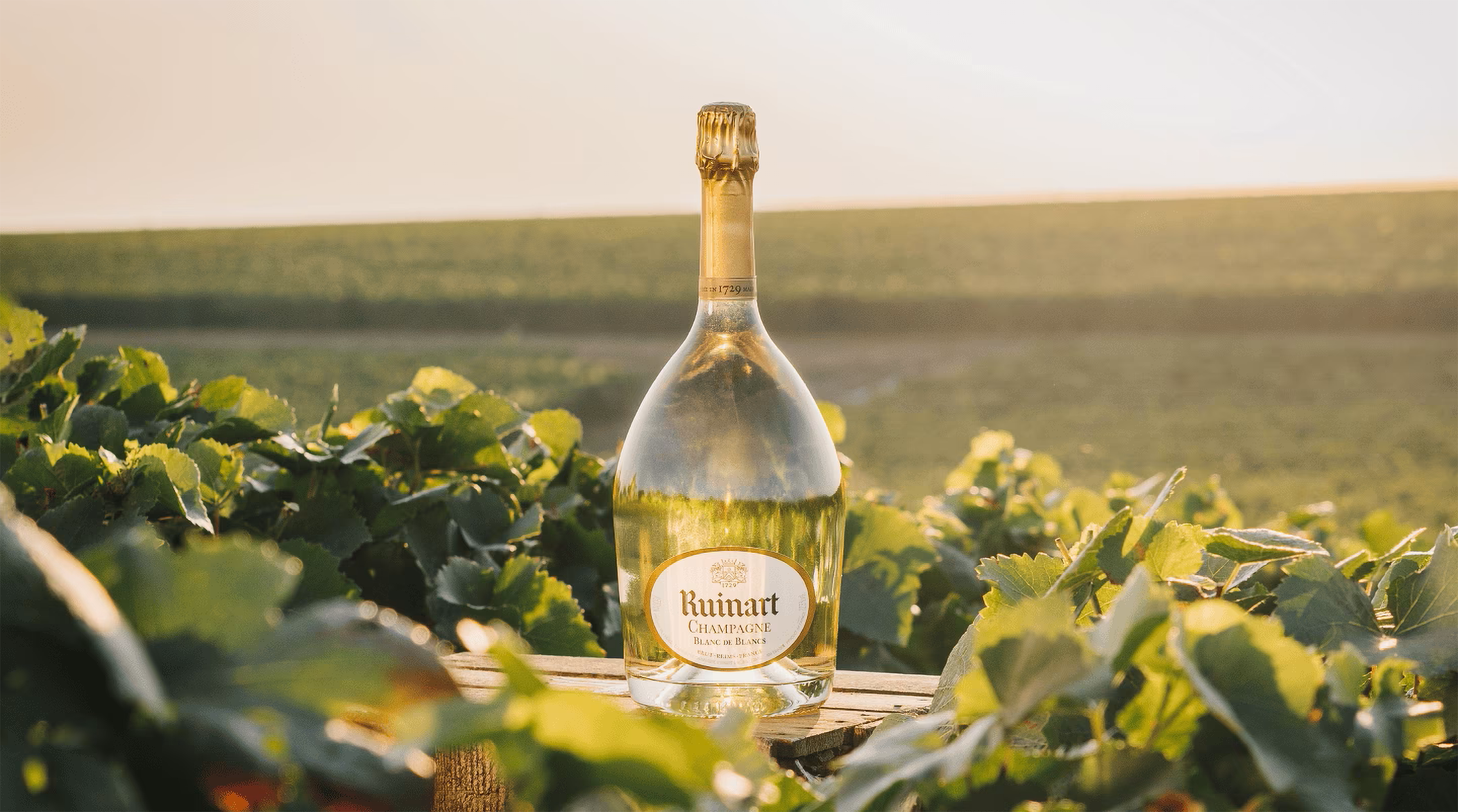 Ruinart Blanc de Blancs 750ml – Crown Wine and Spirits