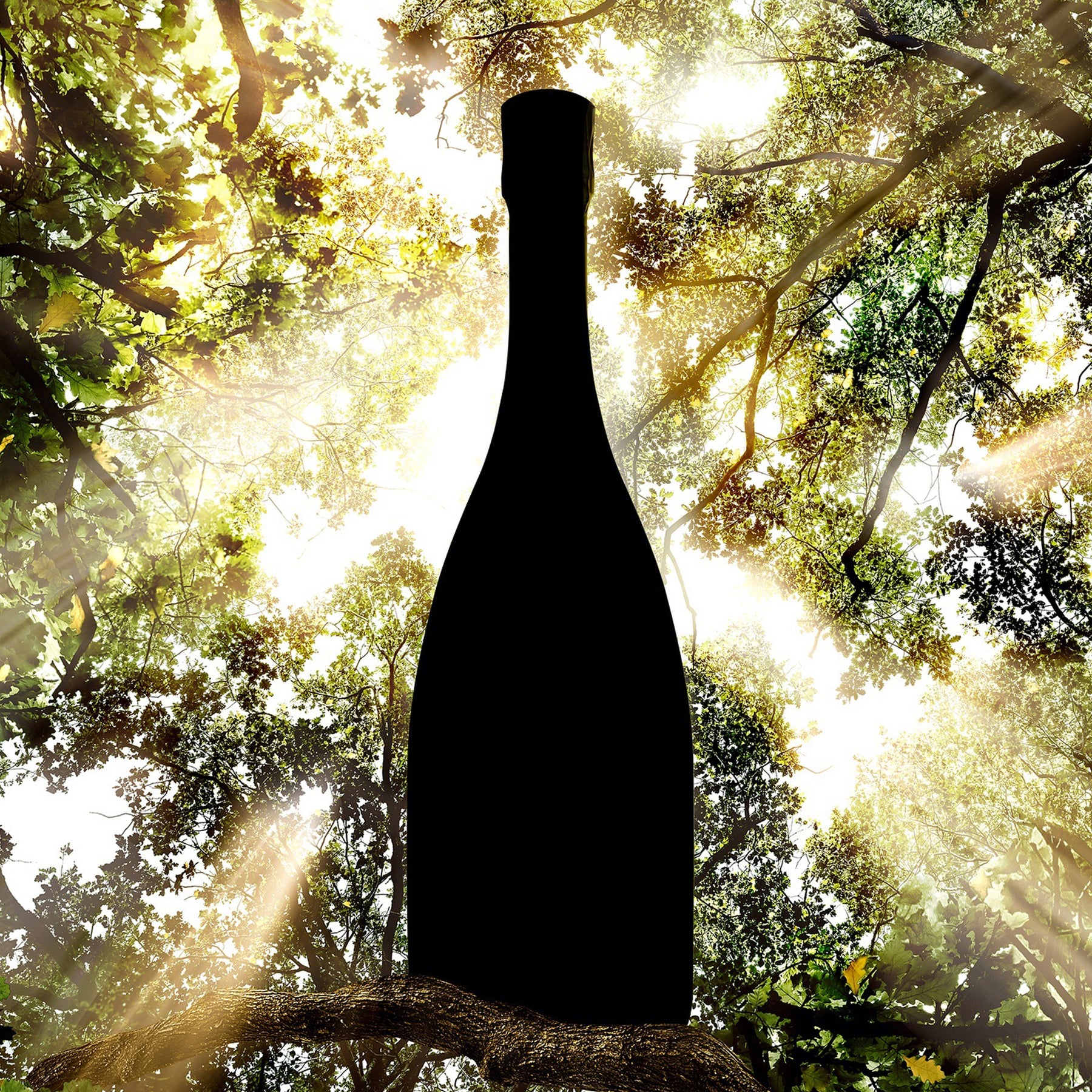 Bollinger Special Cuvée Brut NV 9L