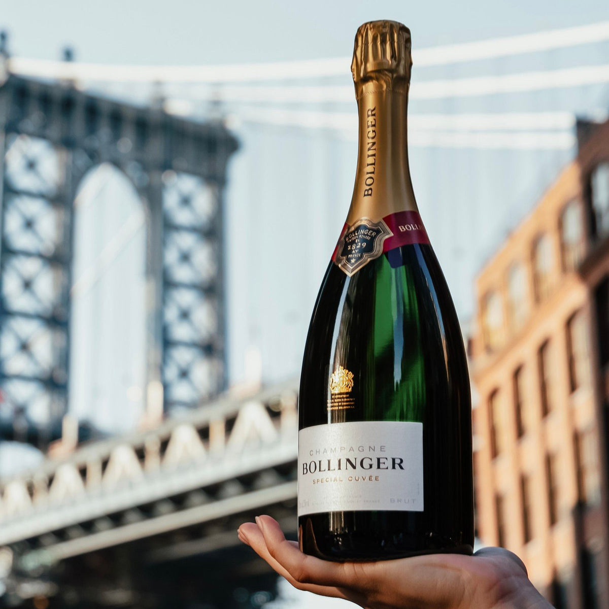 Bollinger Special Cuvée Brut NV (Gift Boxed)