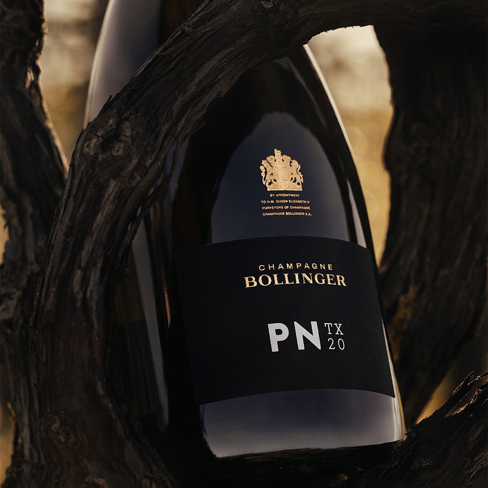 Bollinger PN TX20 Champagne