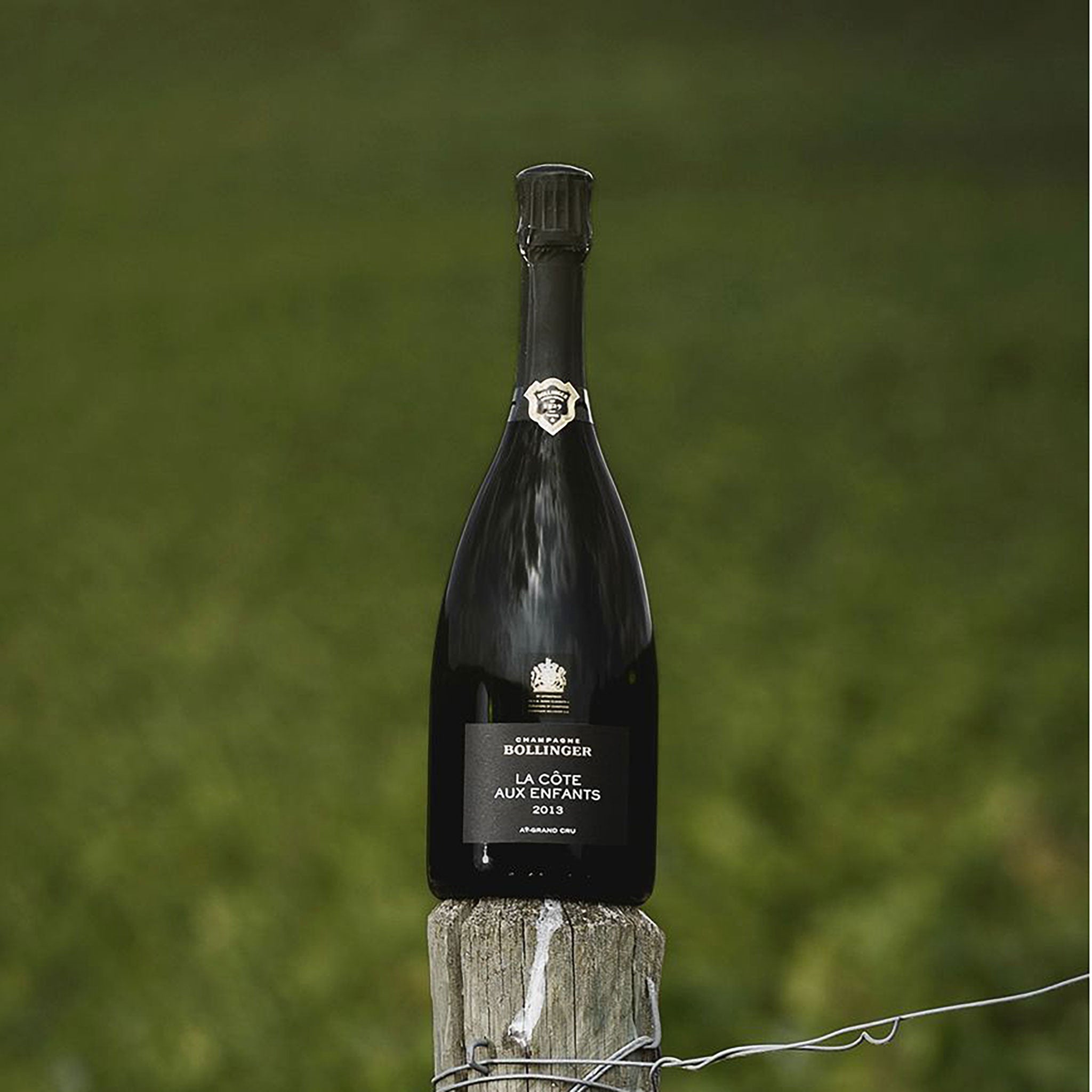 Bollinger La Côte aux Enfants Champagne 2013 | Kent Street Cellars