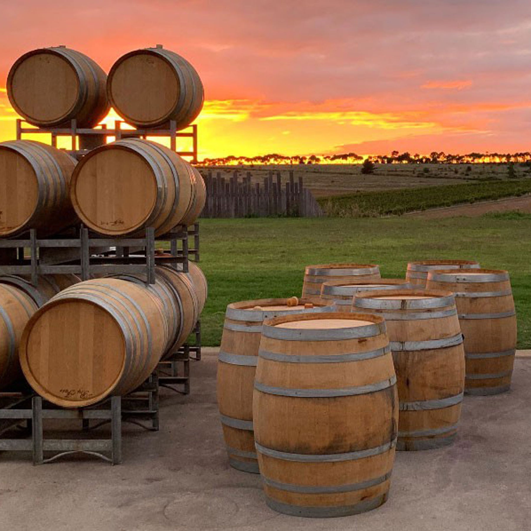 Irrewarra By Farr Pinot Noir 2022