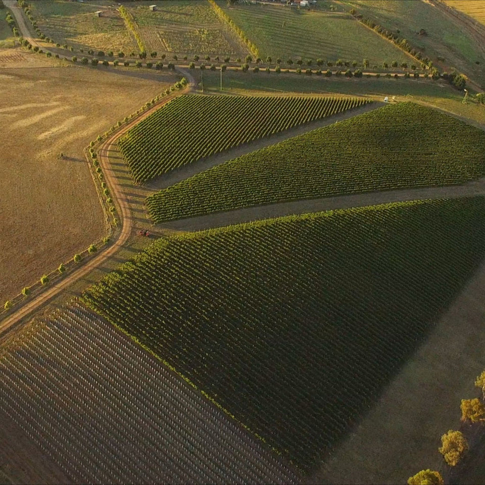The Vineyard brand story